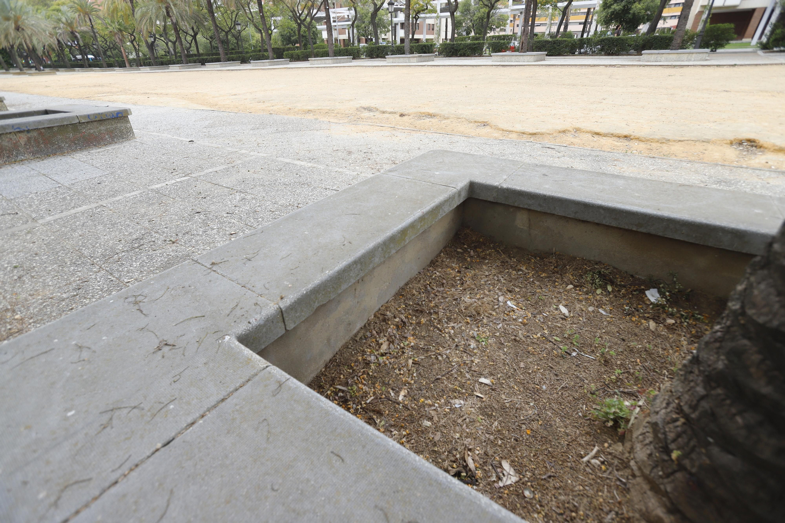 Imágenes del deterioro en la Avenida de Andalucía