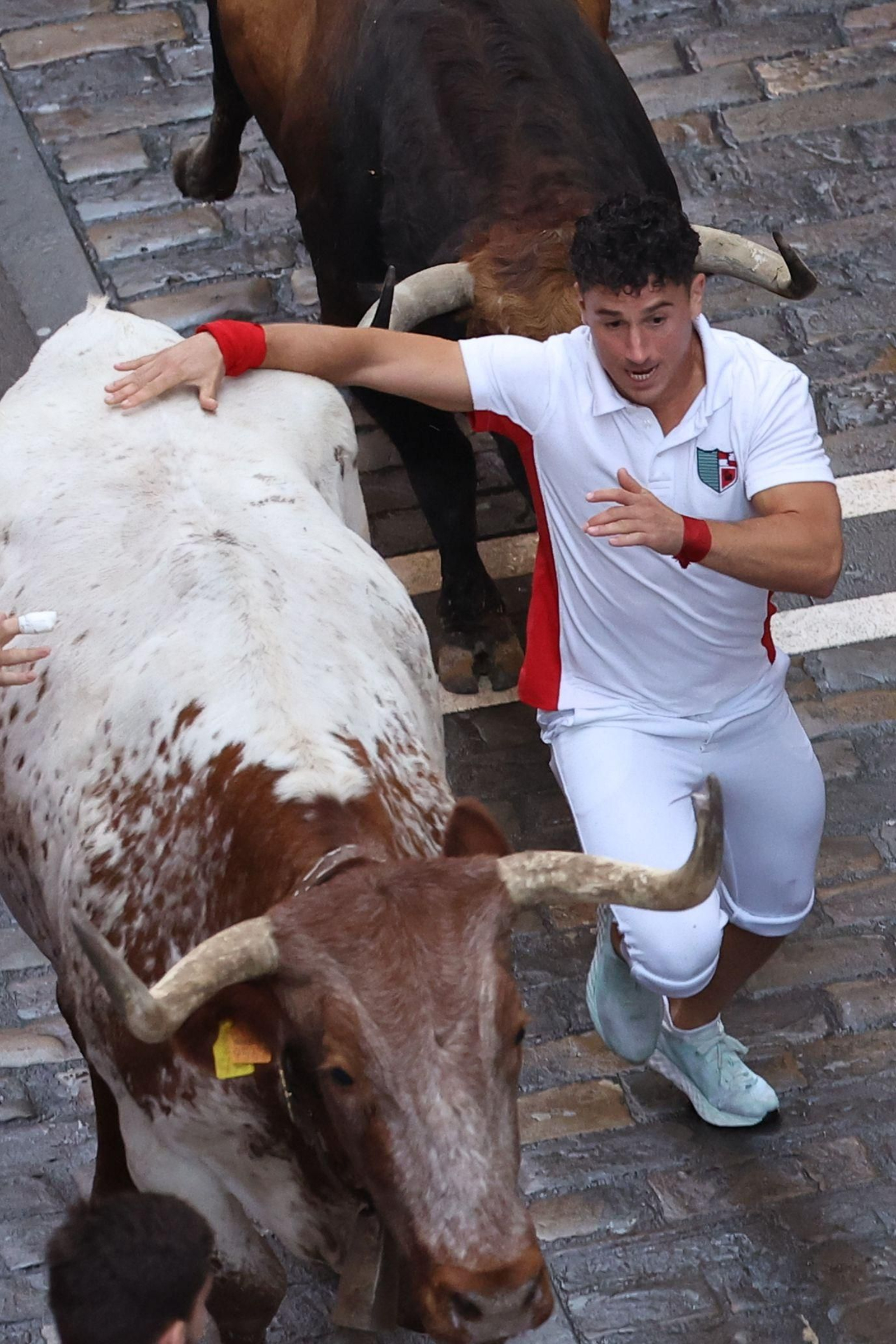 Las imágenes del encierro de los toros de Cebada Gago