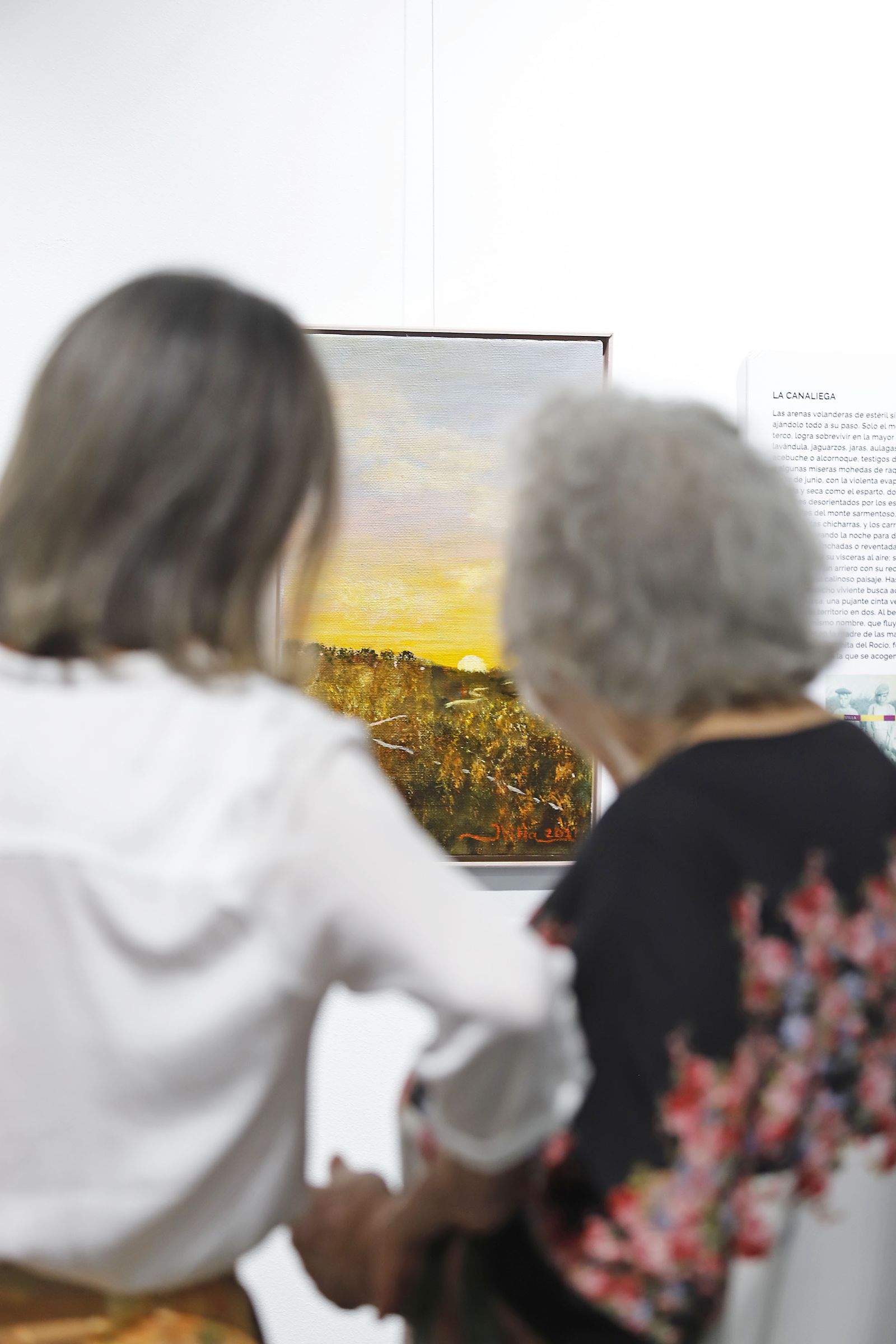 Imágenes de la inauguración de la exposición 'Pasajes y Paisajes de Doñana' de Juan VIlla