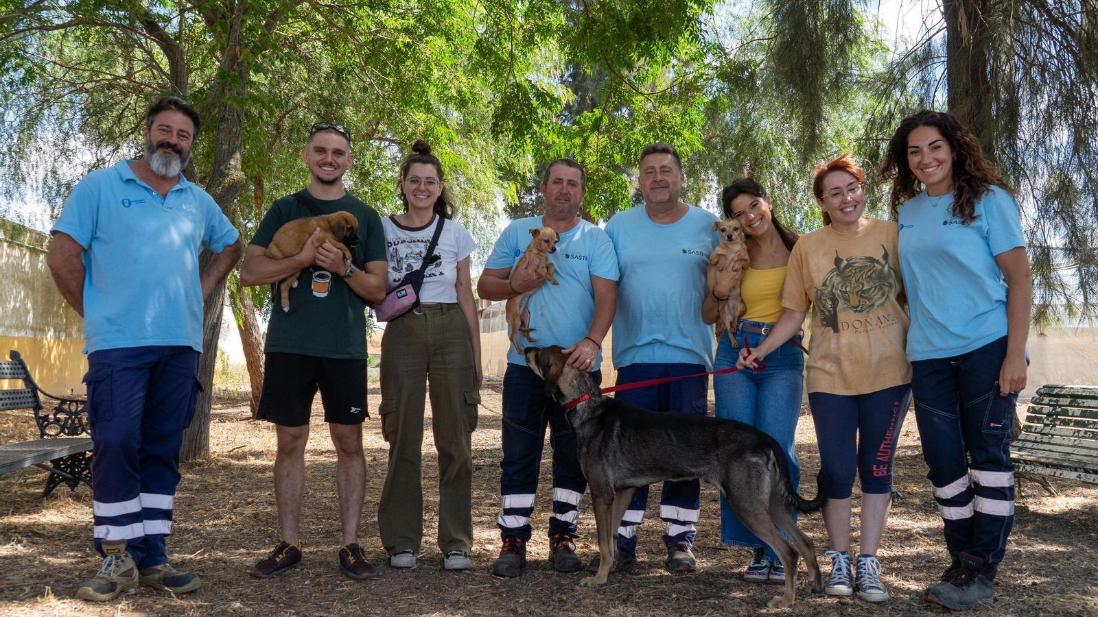 Trabajadores, voluntarios, adoptantes y veterinarios posan junto a algunos de los animales.