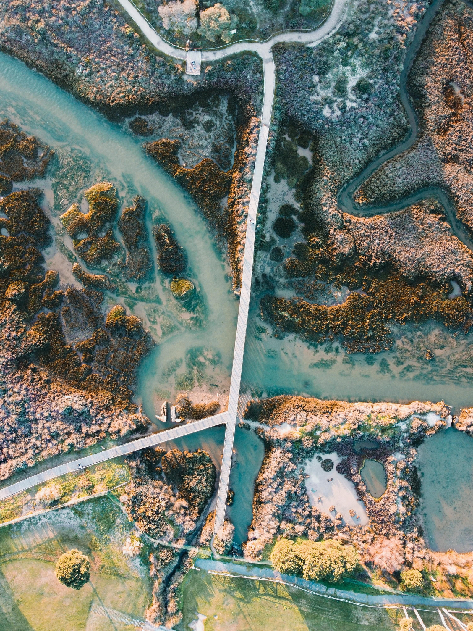 Las marismas de Huelva desde el aire
