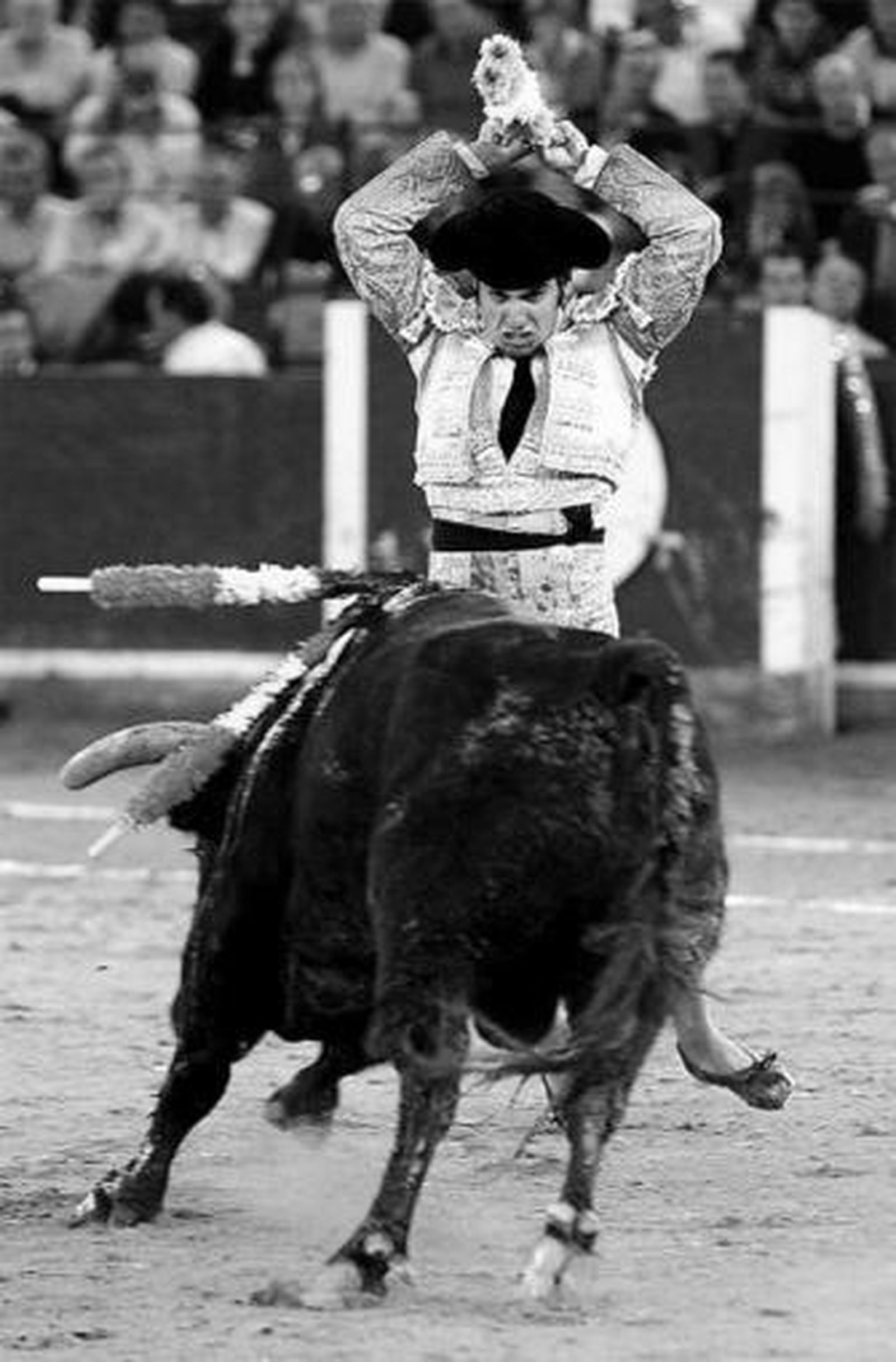 Morante de la Puebla, banderilleando al sexto toro, ayer en Zaragoza.