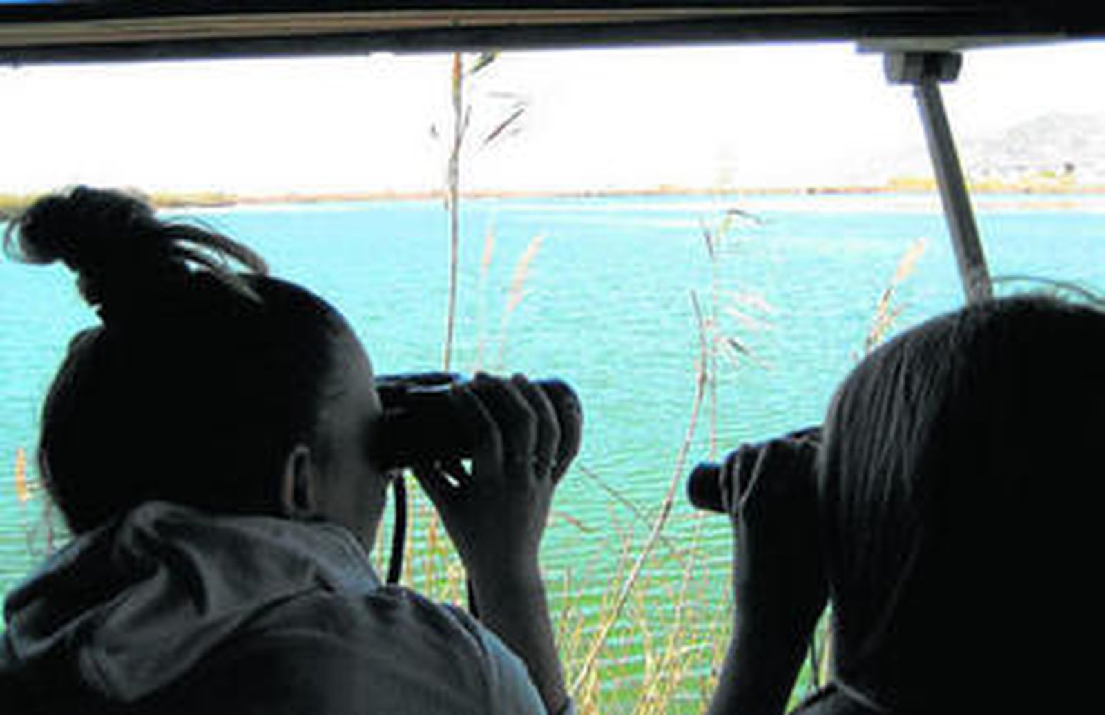 La reserva natural acoge este domingo un avistamiento y anillamiento de aves.