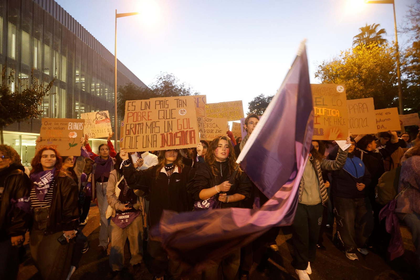 La manifestación del 25N en Córdoba