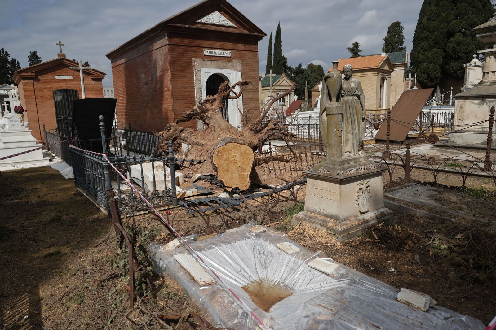 Destrozos provocados en las lápidas del cementerio por la caída de árboles