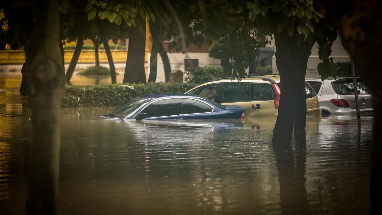 Imágenes del paso de la Dana, inundaciones, destrozos y caos por todo Jerez