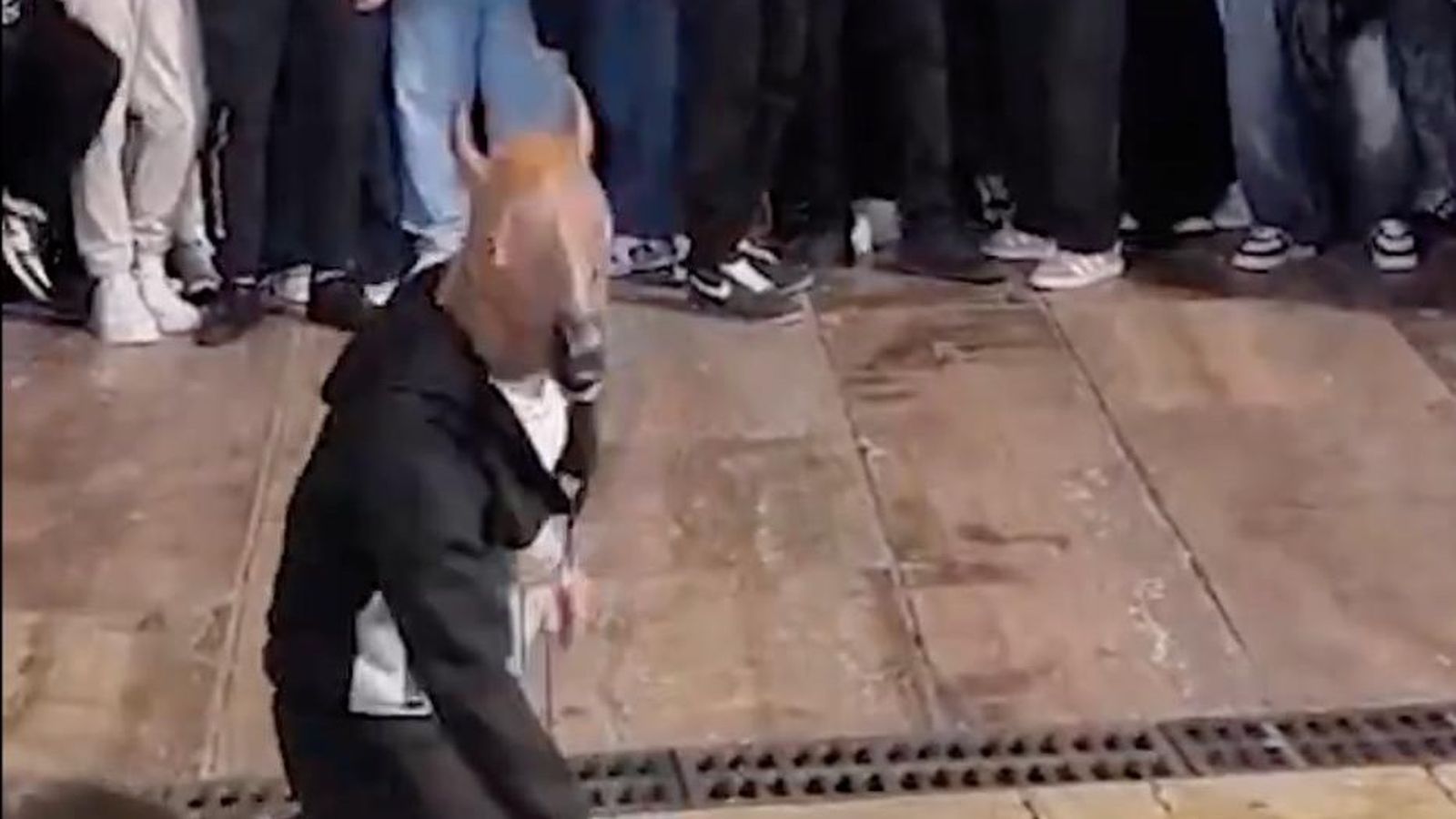 Captura del vídeo difundido en redes sobre la "fallida" quedada 'therian'