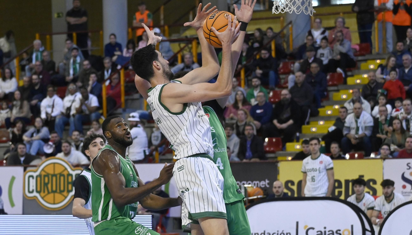 Las mejores fotos del ambiente en el Coto Córdoba - Cáceres Patrimonio de la Humanidad