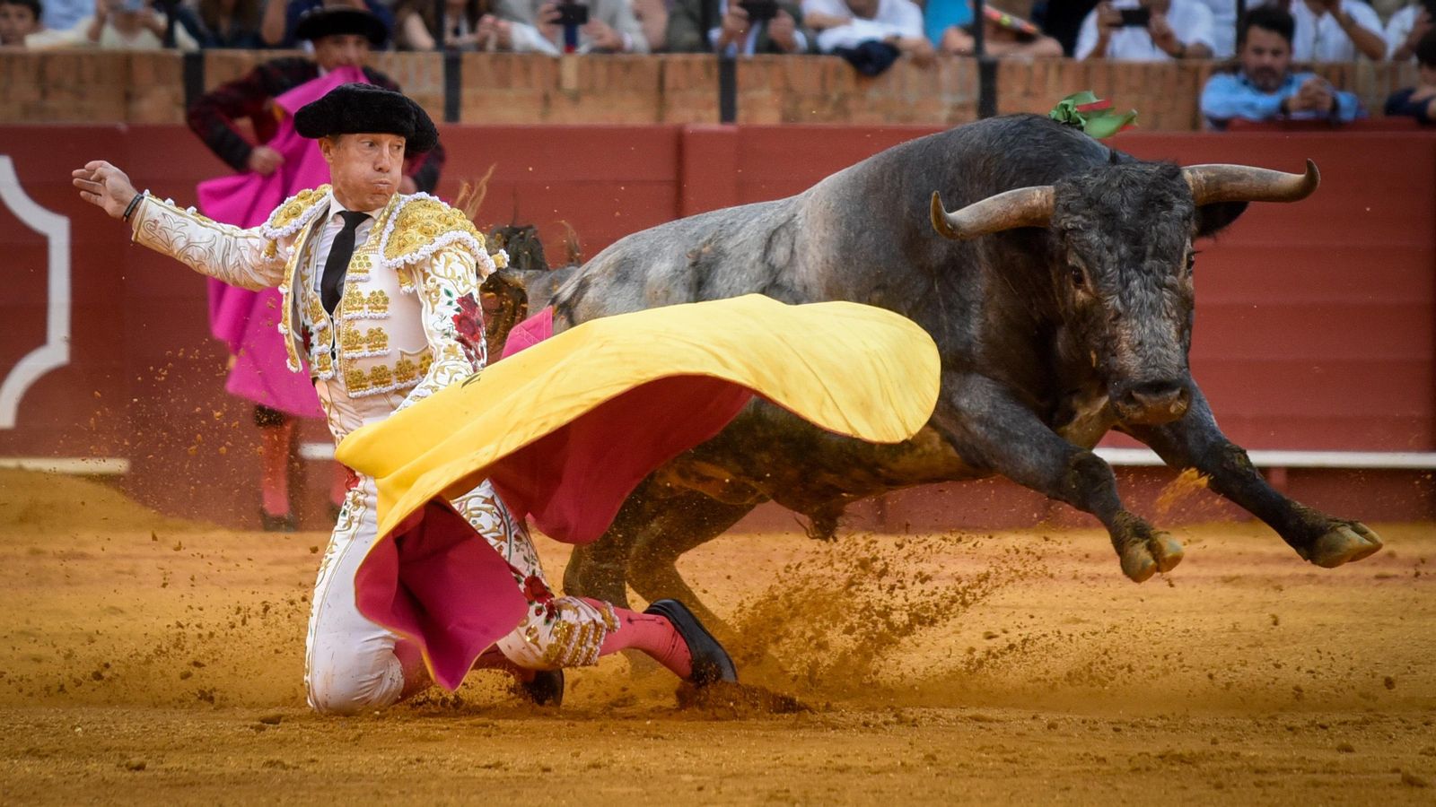 Tras el recibo a portgayola, espectacular larga de rodillas de Manuel Escribano al cárdeno ‘Dormido’, corrido en quinto lugar. Tras el recibo a portgayola, espectacular larga de rodillas de Manuel Escribano al cárdeno ‘Dormido’, corrido en quinto lugar.