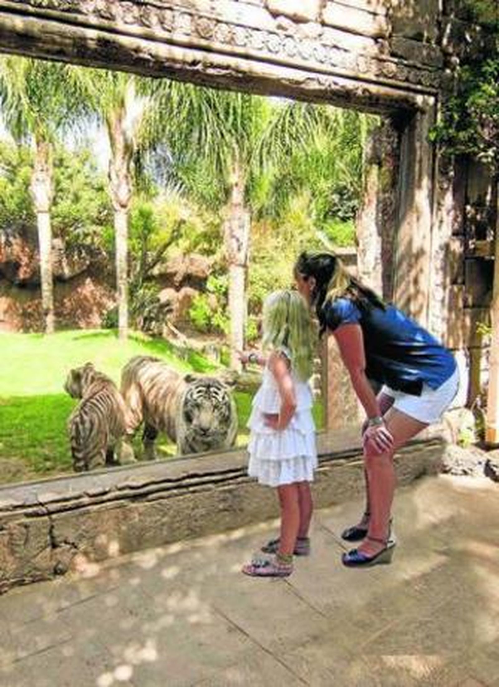 Una mujer y su hija observan unos tigres.