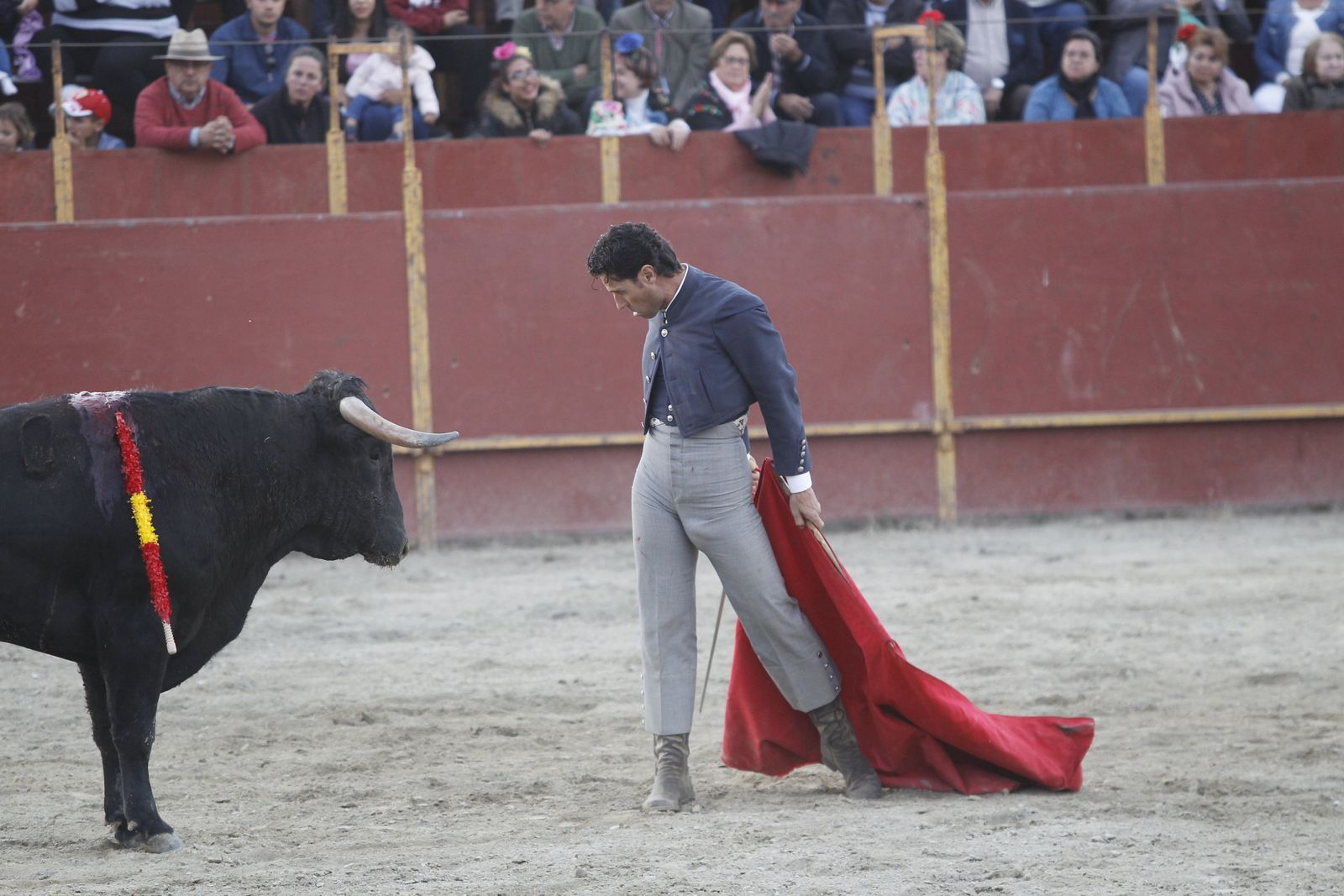 Fotogalería Festival Taurino Mixto. Fiestas de Abrucena.