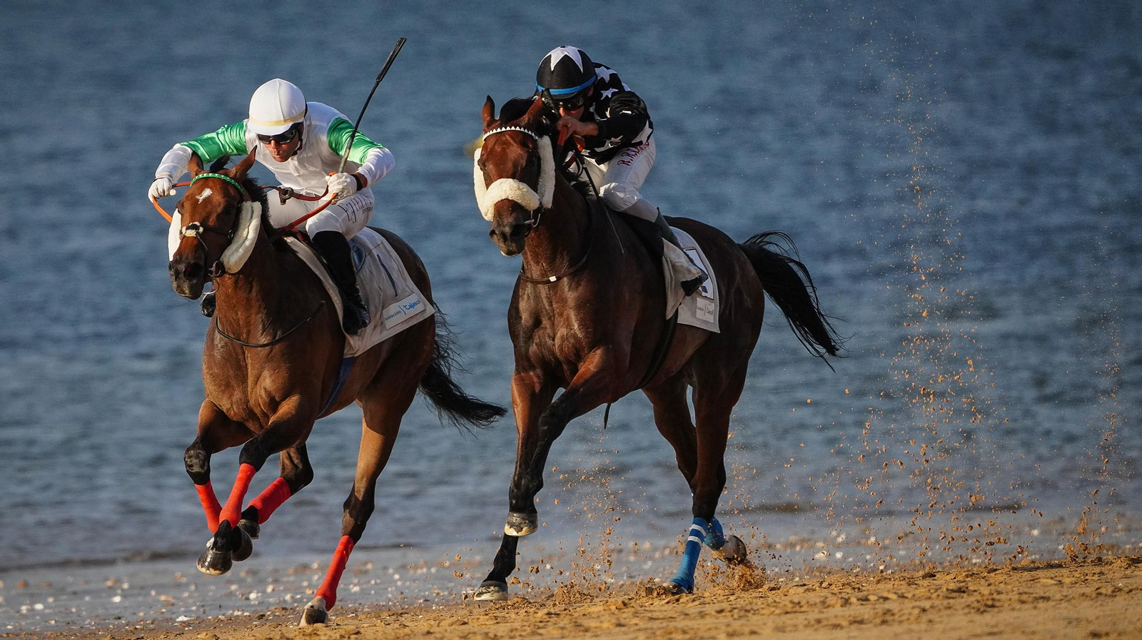 Imágenes de las Carreras de Caballos de Sanlúcar