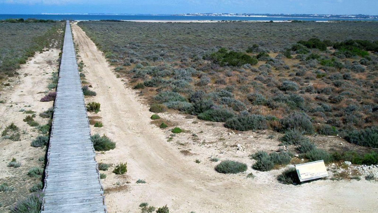 Marisma de los Toruños y Pinar de la Algaida