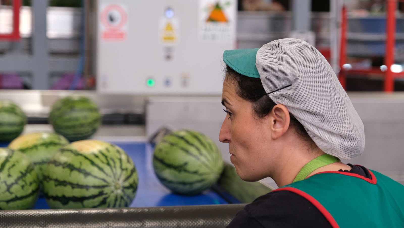 La IA llega a CASI, en imágenes