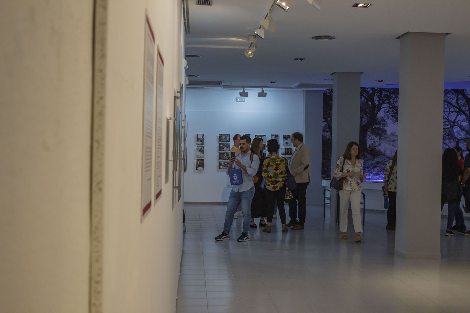 Inauguración de la exposición "El sabor de las Matemáticas".