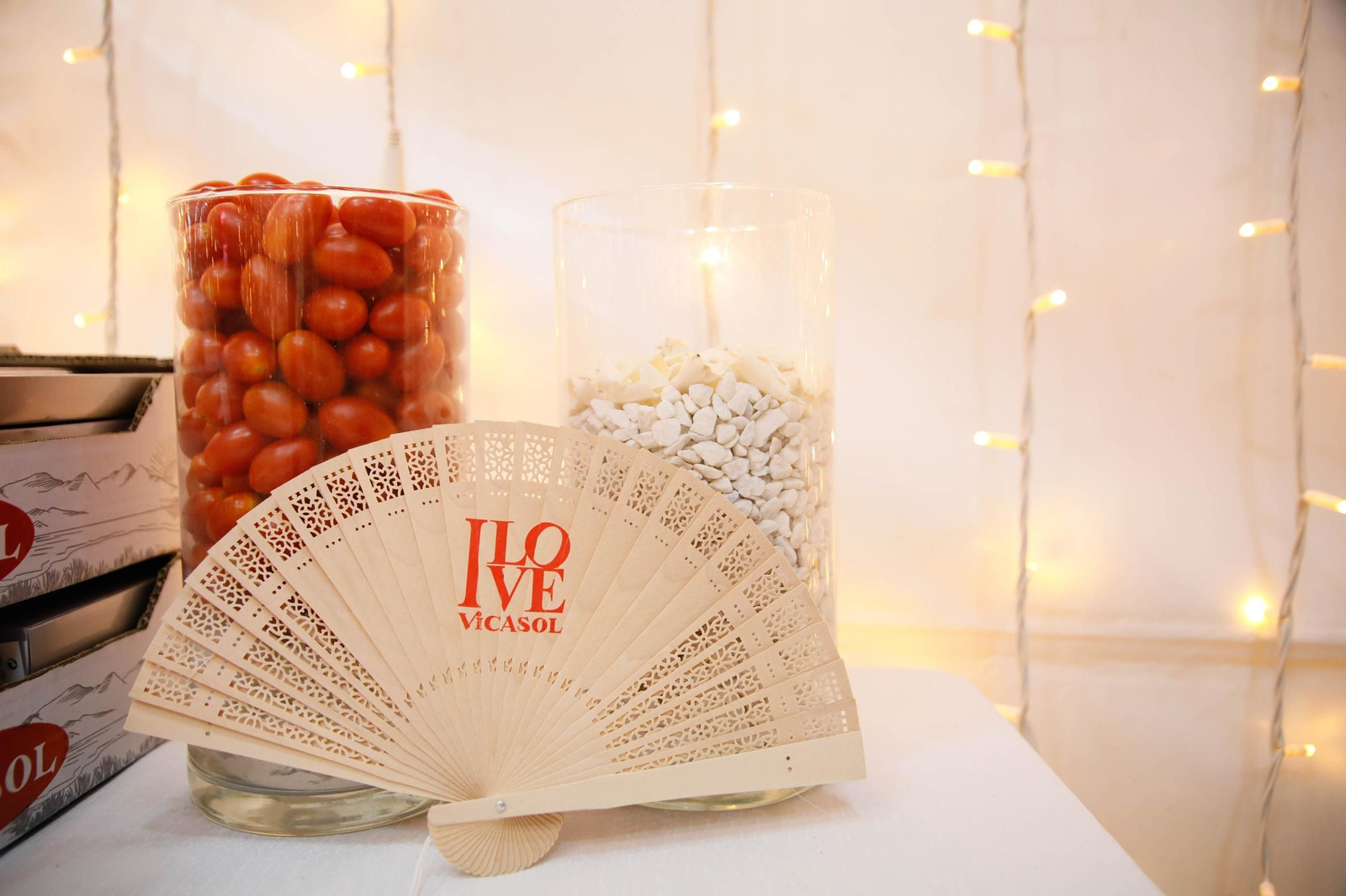 Imágenes de la cena anual de Vicasol