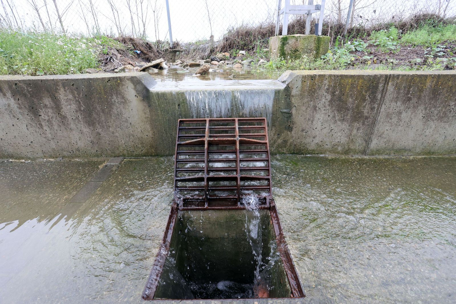 Ruta por la zona rural inundada de Jerez