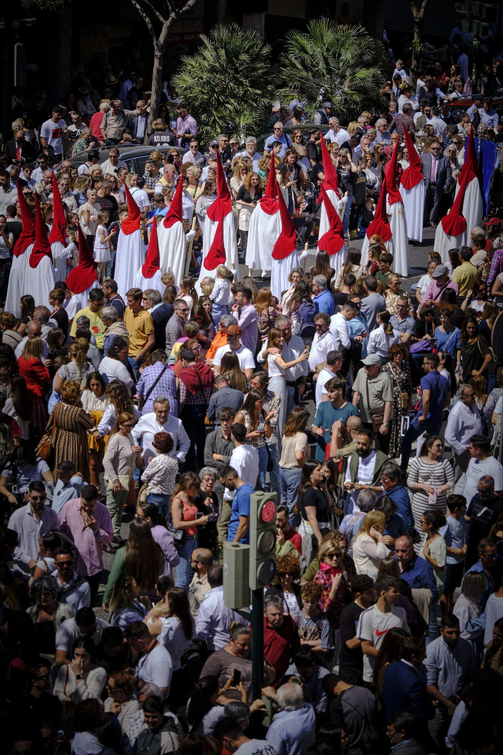 La Borriquita de Cádiz
