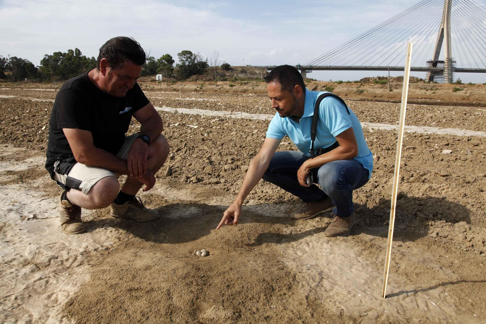 Saturnino González y Miguel Garrido Mora observan algunos de los huevos depositados en la piscifactoría.