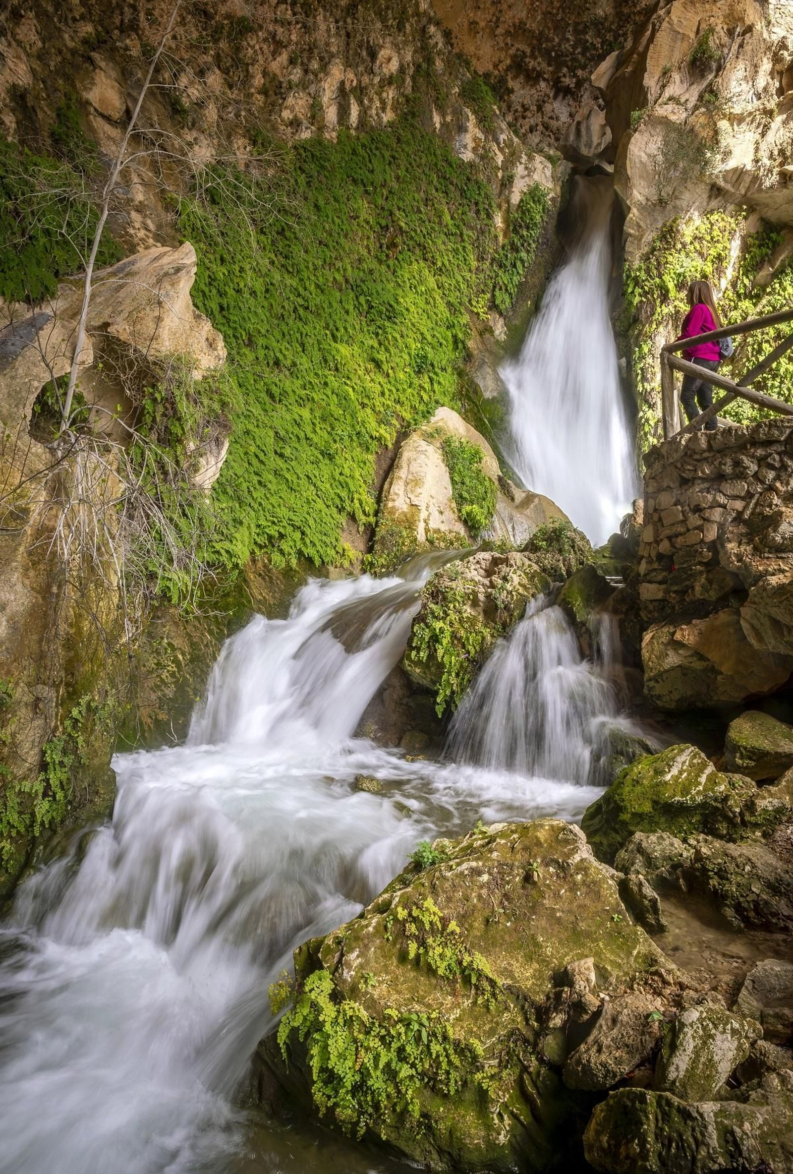 La Cueva del Agua de Tíscar es, en sí mismo, un espectáculo de la naturaleza digno de ver en directo.