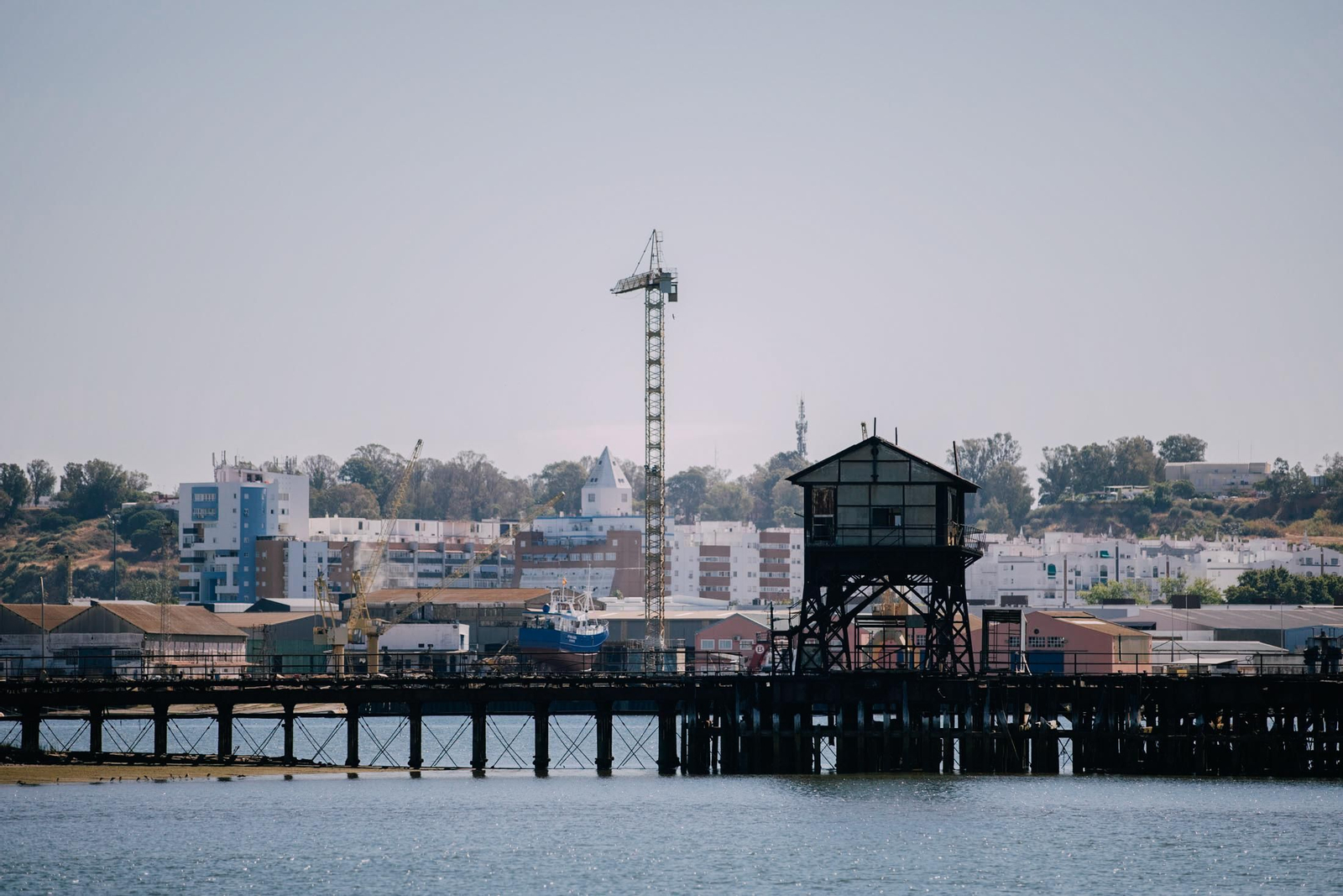 Un recorrido fotográfico por el Paraje Natural Marismas del Odiel