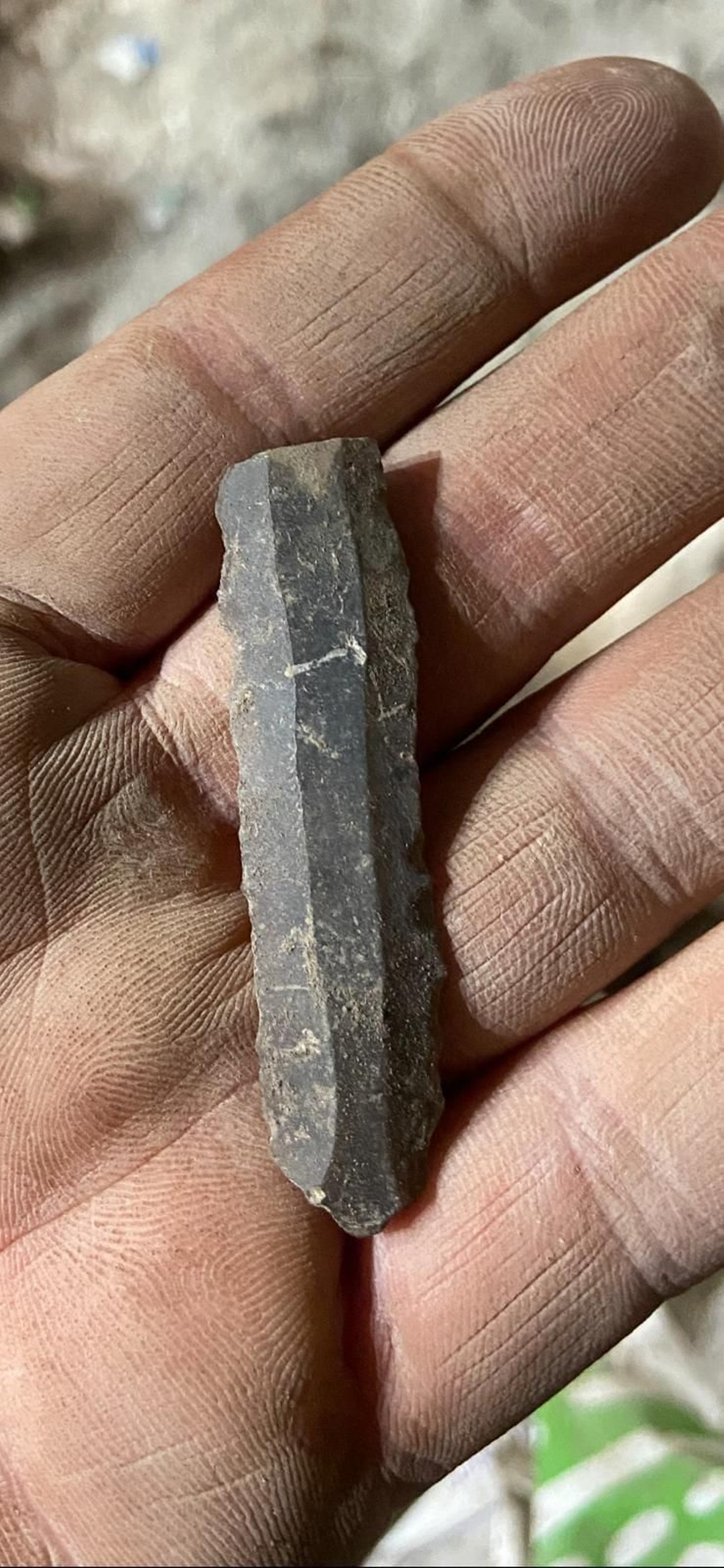 Los hallazgos de restos humanos de la edad del Cobre, en la cueva del río Cuadros, en Bedmar, en imágenes