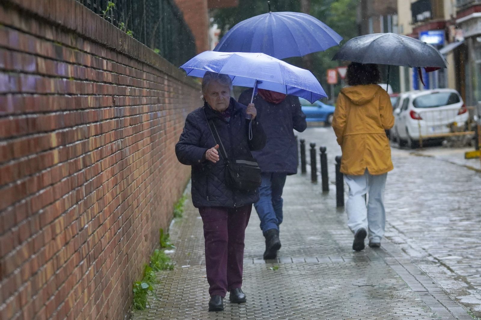 La intensa lluvia del miércoles 4 de Febrero, todas las fotos