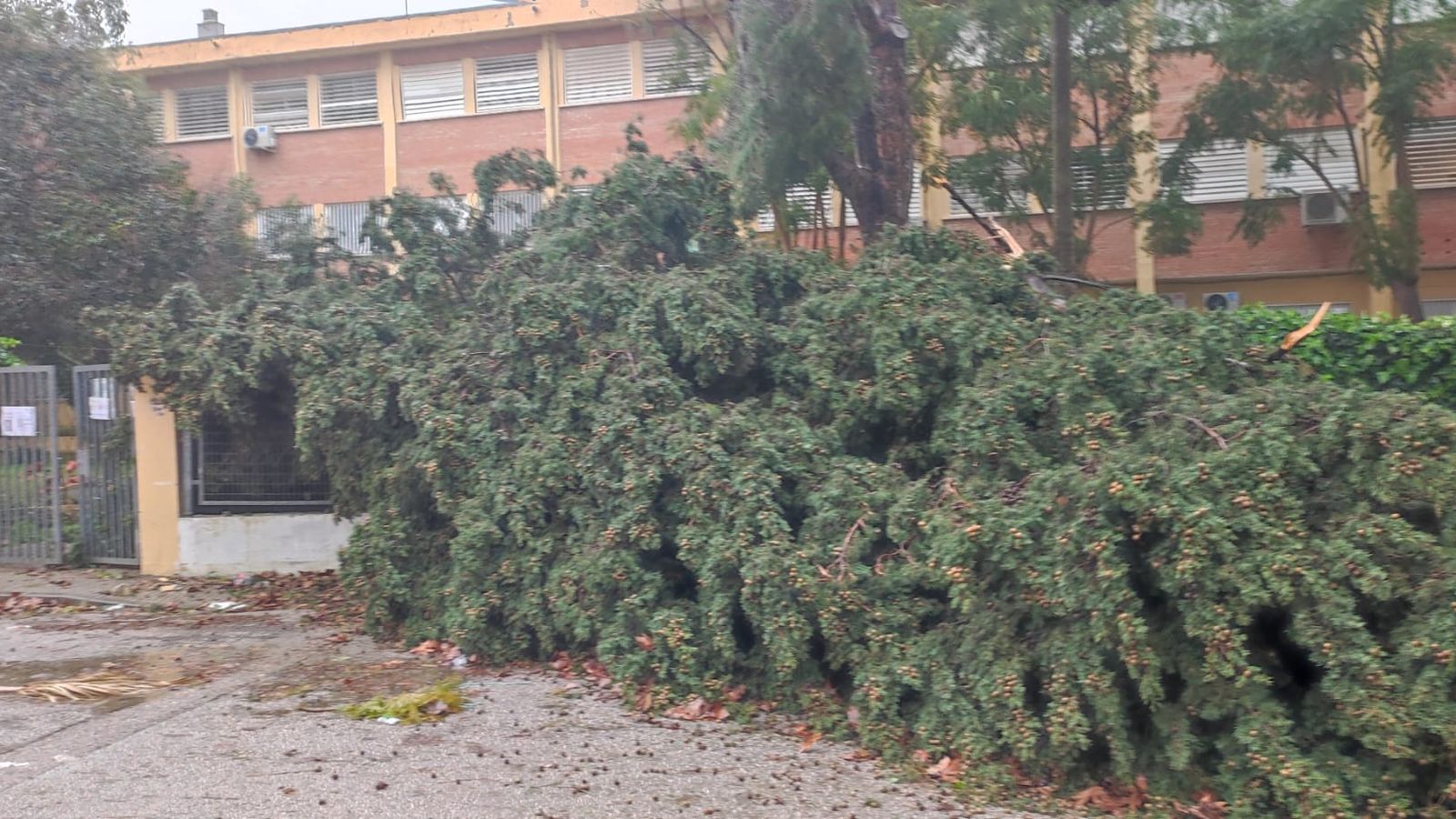 Aspecto que presenta la puerta de acceso al IES Las Banderas.
