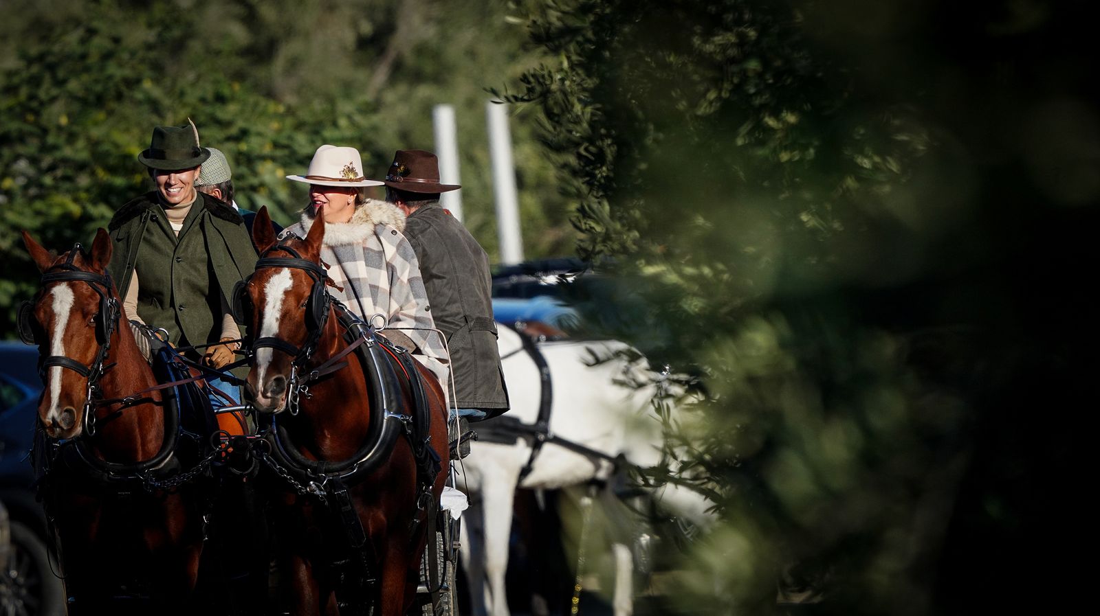I Ruta de Carruajes Viñas de Jerez