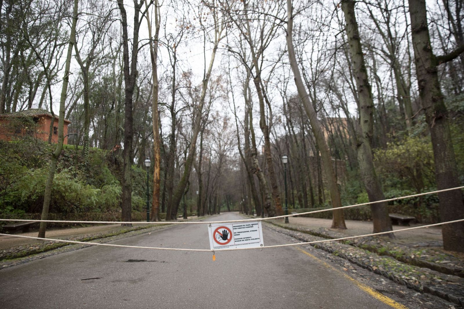 La Alhambra  de Granada cierra espacios por fuertes rachas de viento