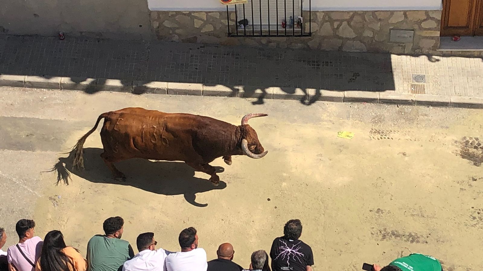 Uno de los astados en la suelta de Arcos