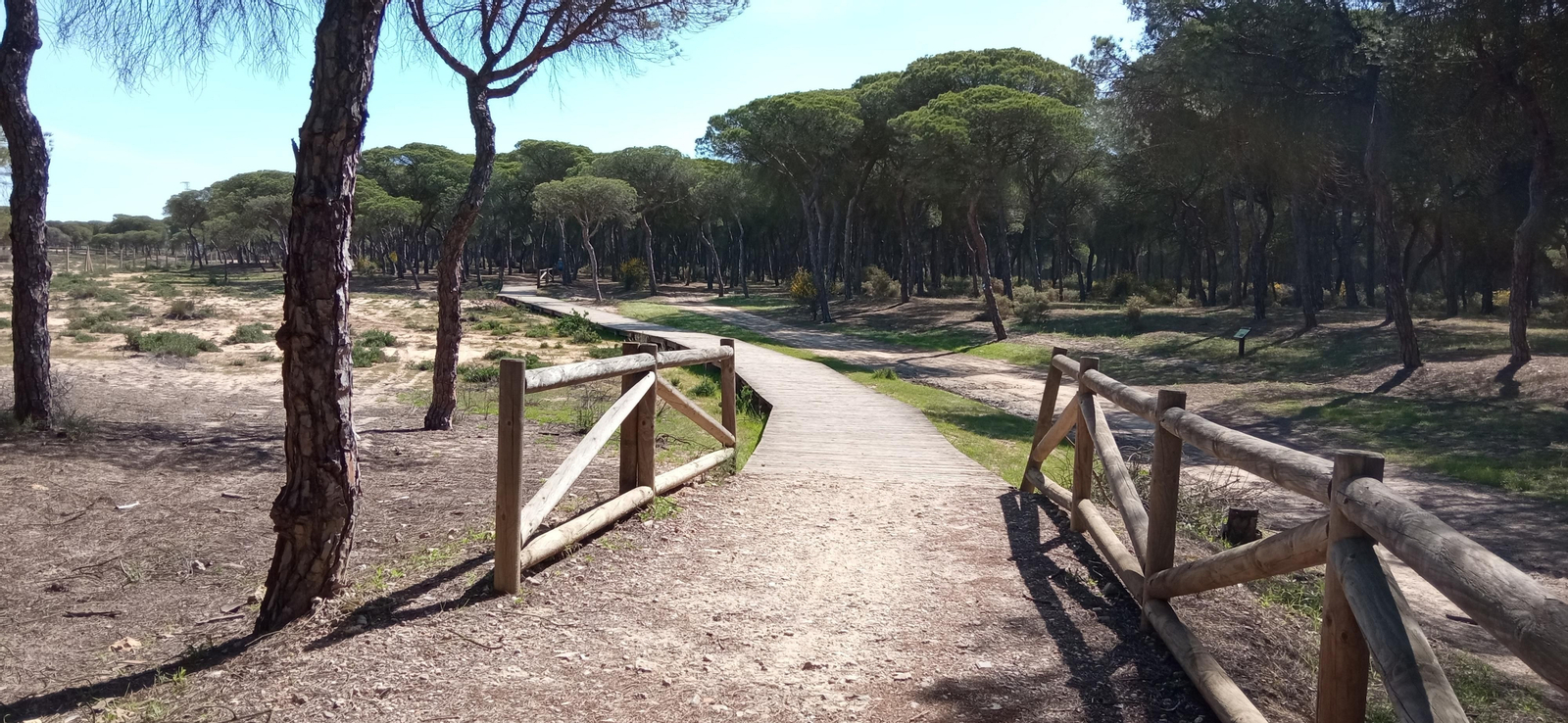 Las imágenes de la ruta de las salinas del Astur y los pinares de Punta Umbría