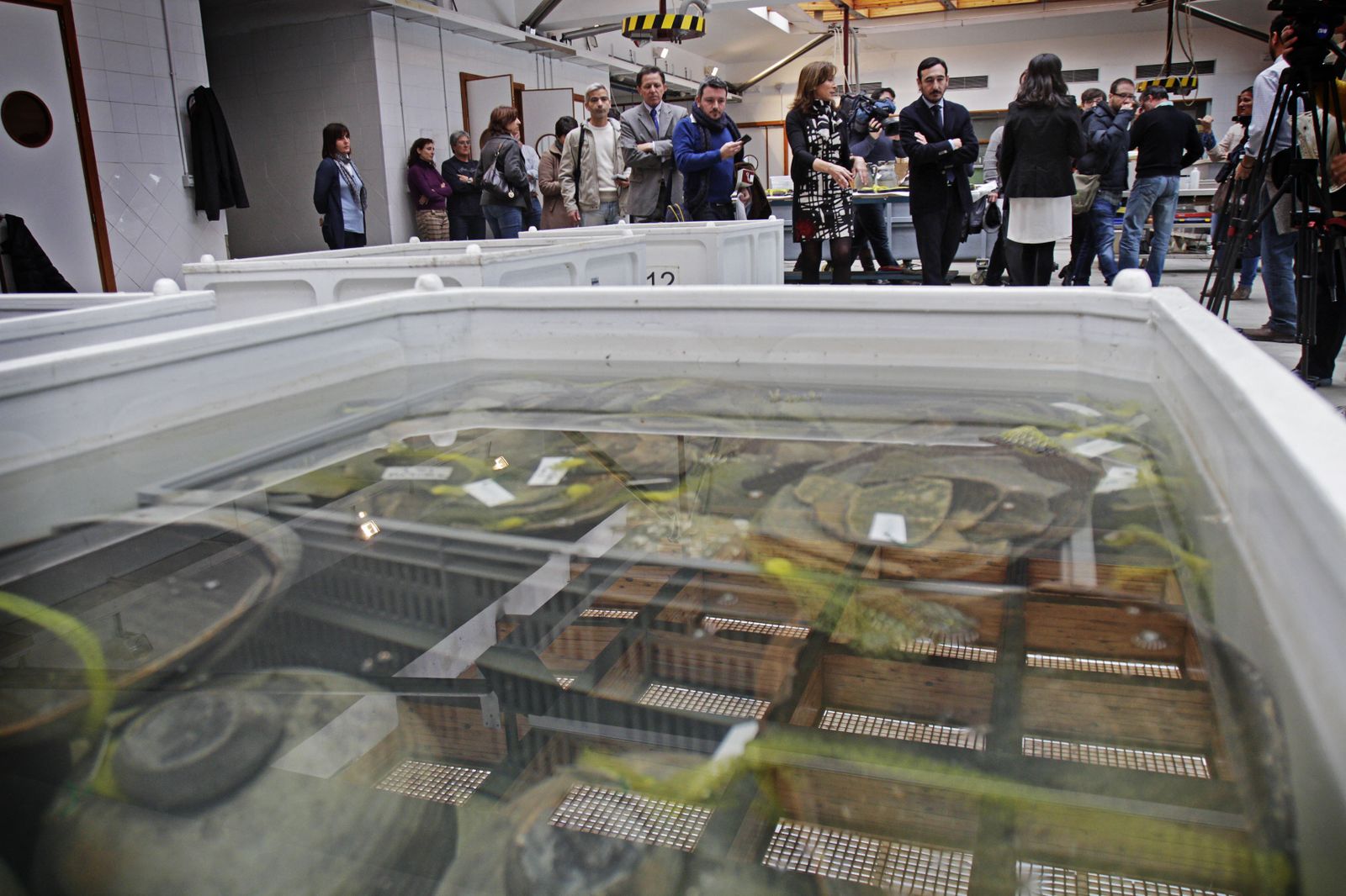 Restos hallados a bordo de los pecios encontrados anteriormente.