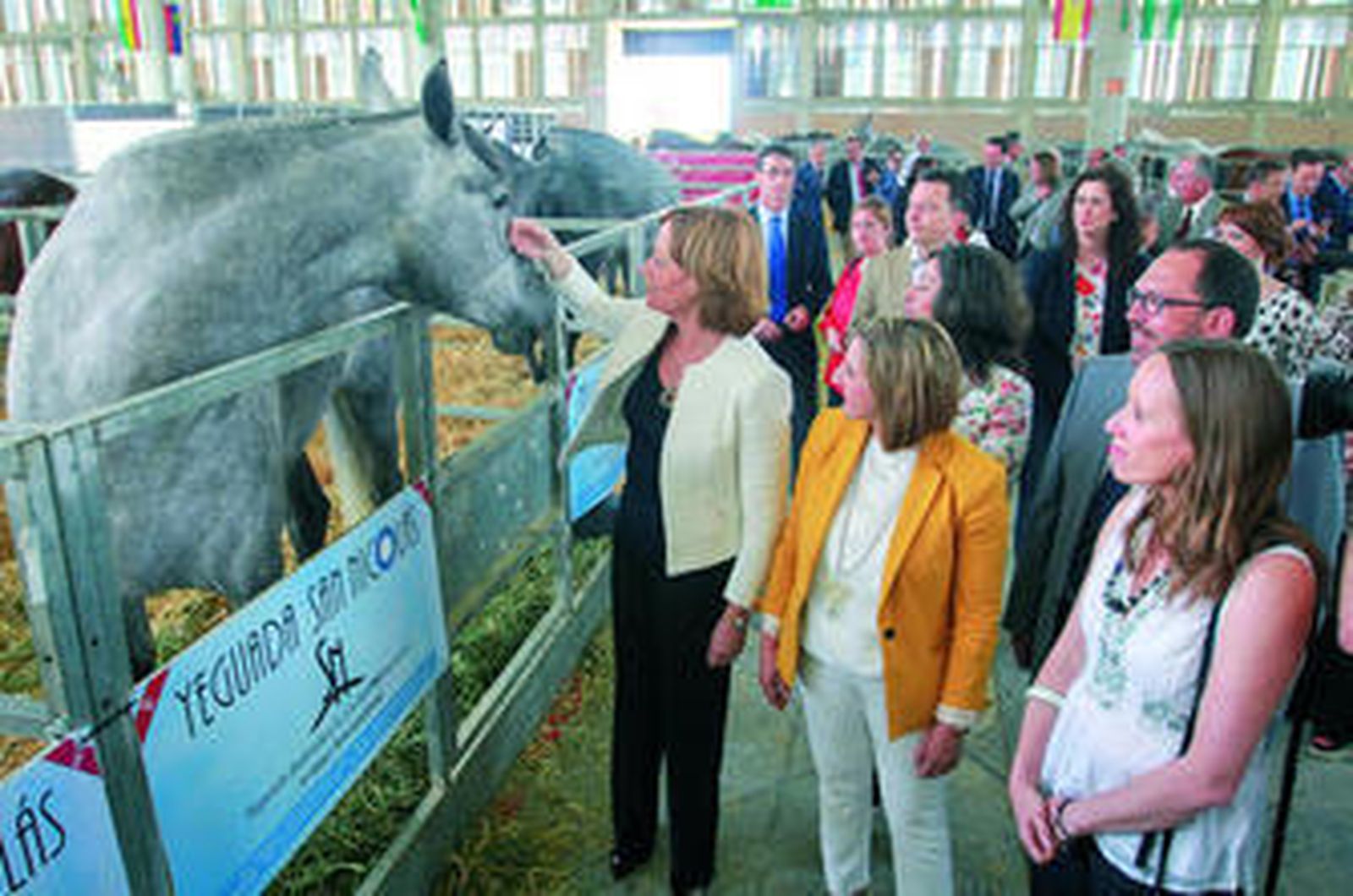 En busca del oficio perdido