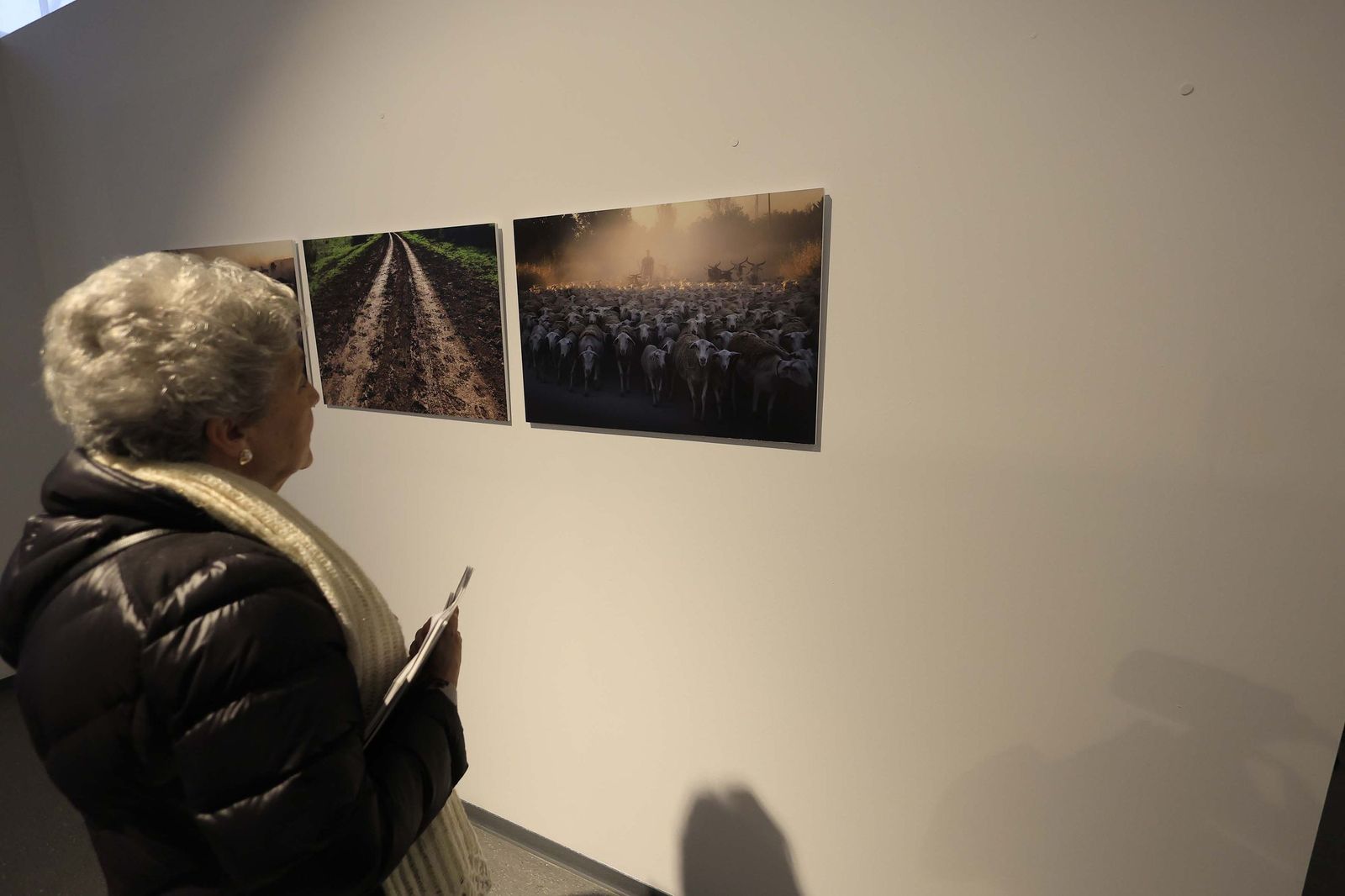 Fotos de la exposición 'Yerba, el corazón verde de la transhumancia' de Katy Muñoz