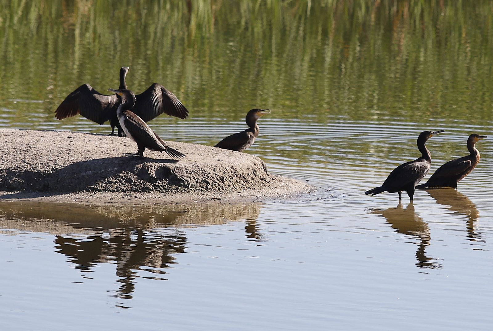 Las imágenes más destacadas del lunes 25 de septiembre en Huelva