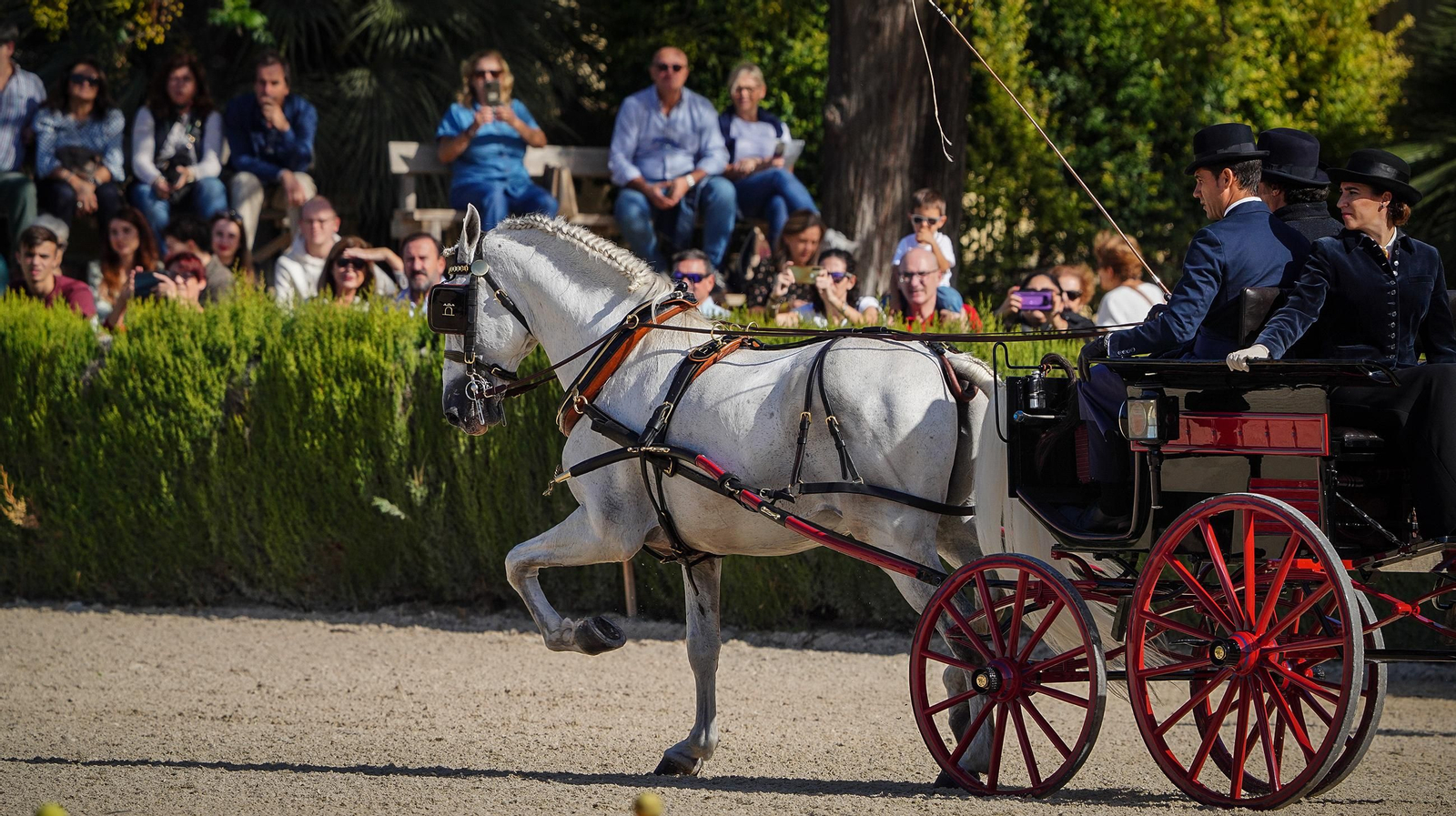 Tradición y elegancia en el Concurso Internacional de Enganches