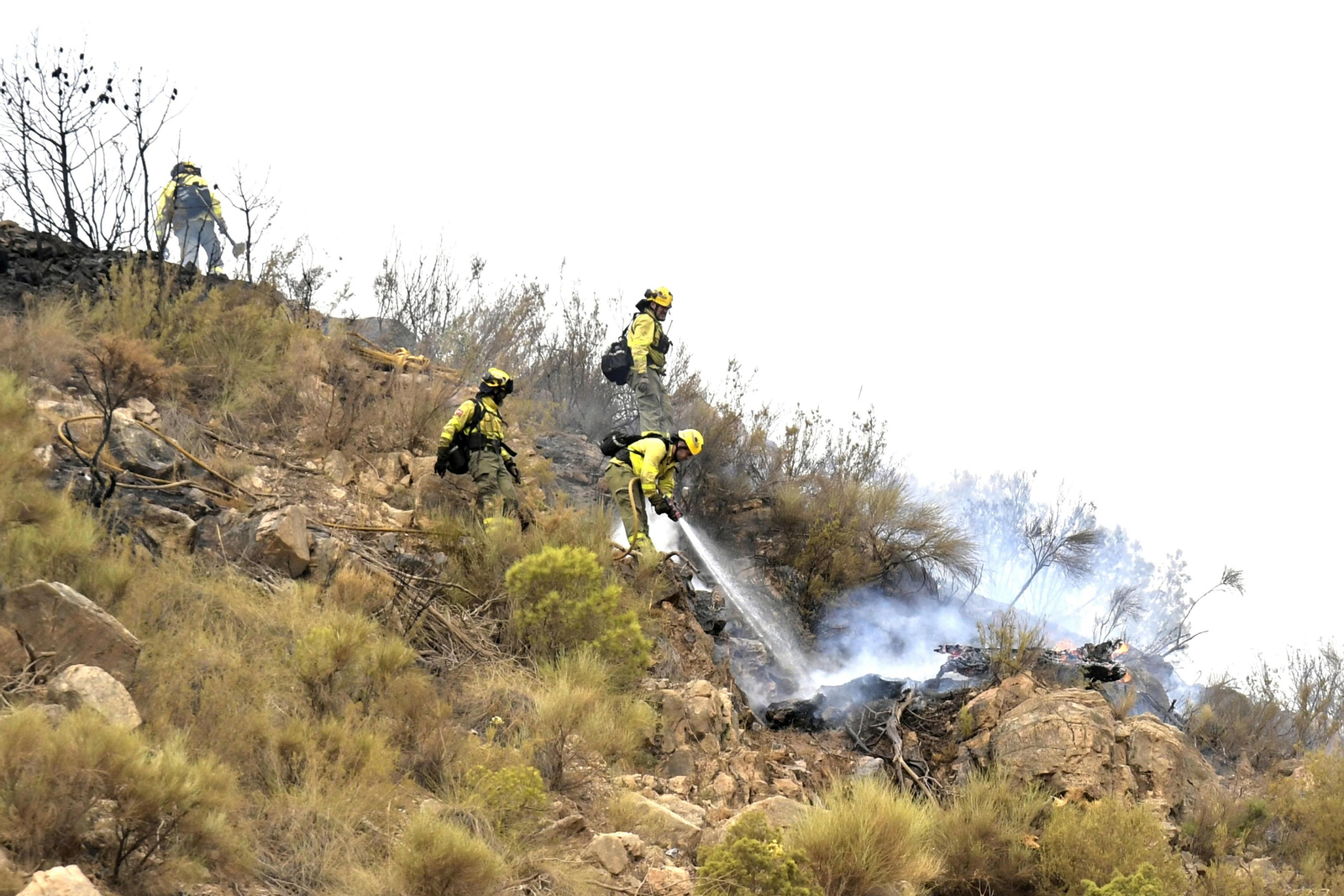 Imagen de archivo de bomberos forestales en la zona que ardió hace un año en Los Guájares.