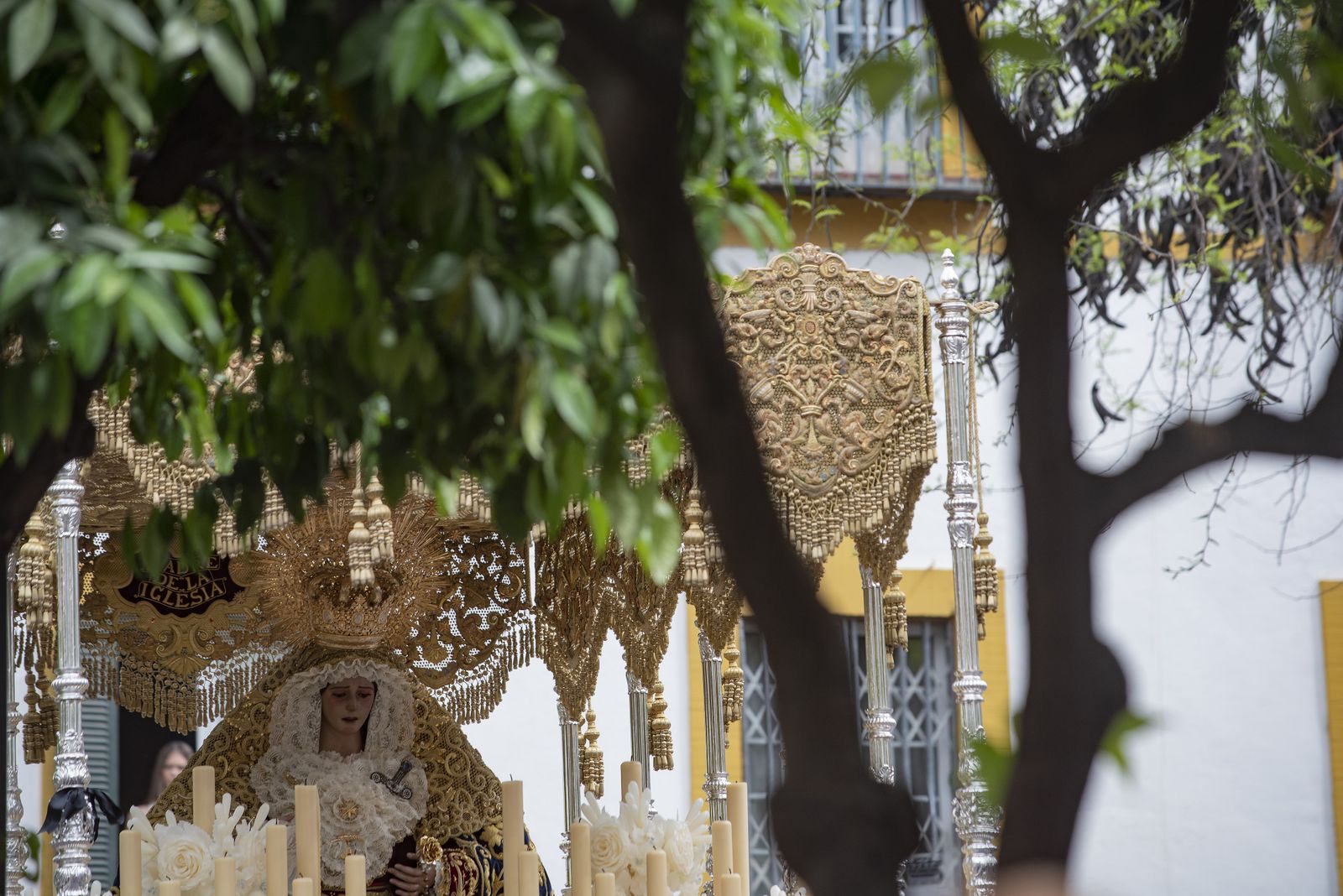 La Hermandad de San Esteban , en imágenes