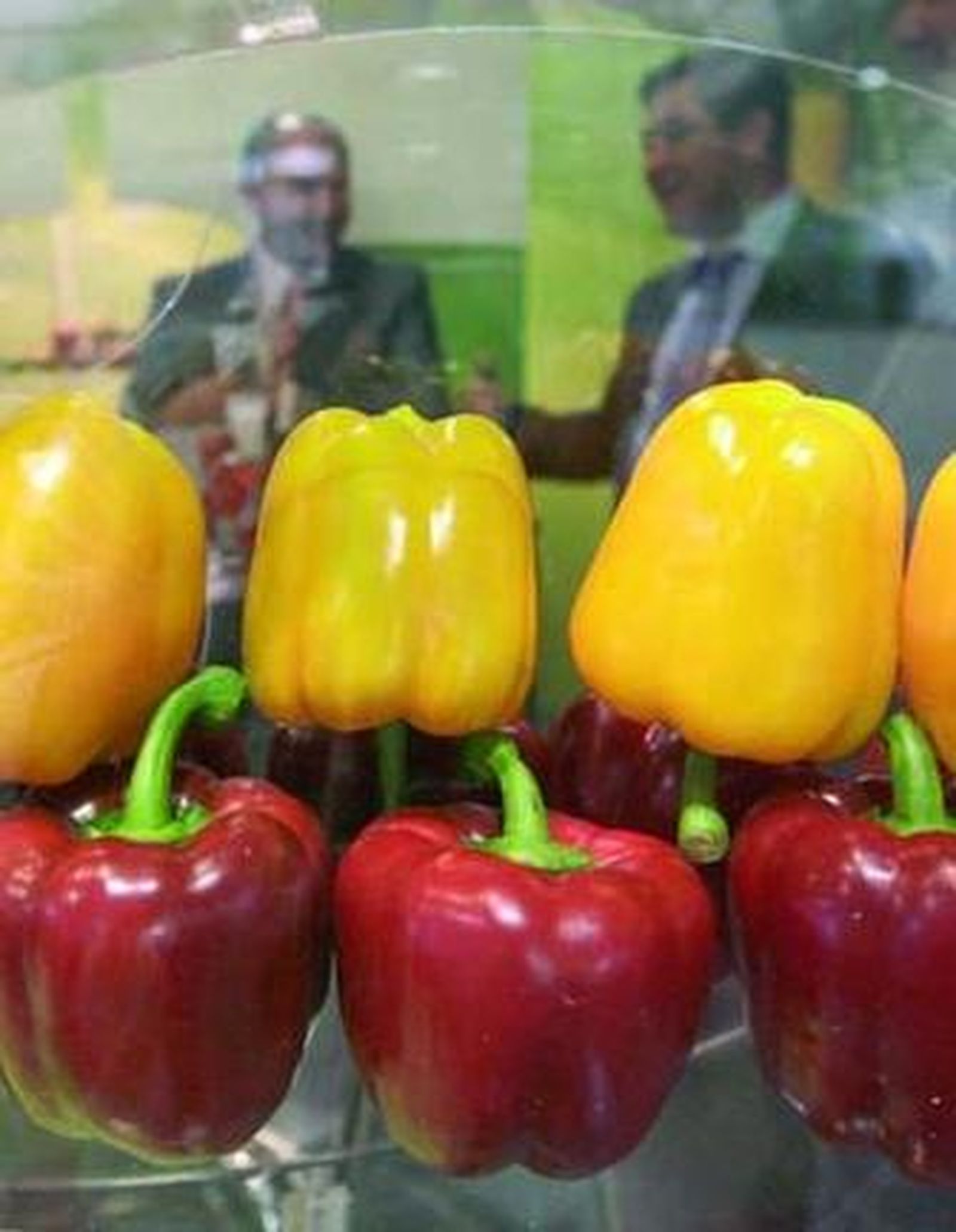 La investigación, clave.