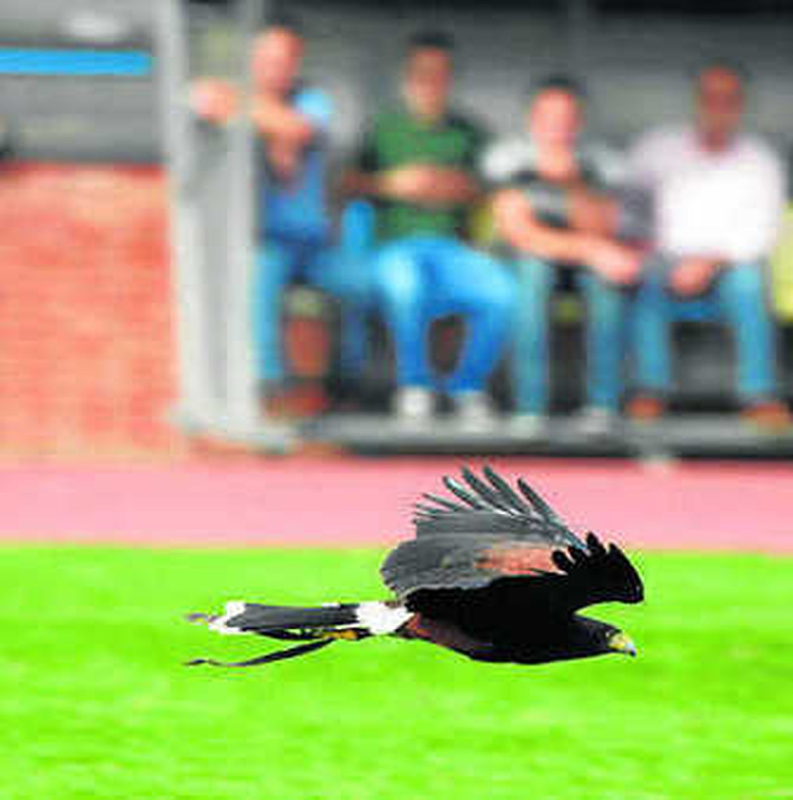 Imagen de la pasada edición.