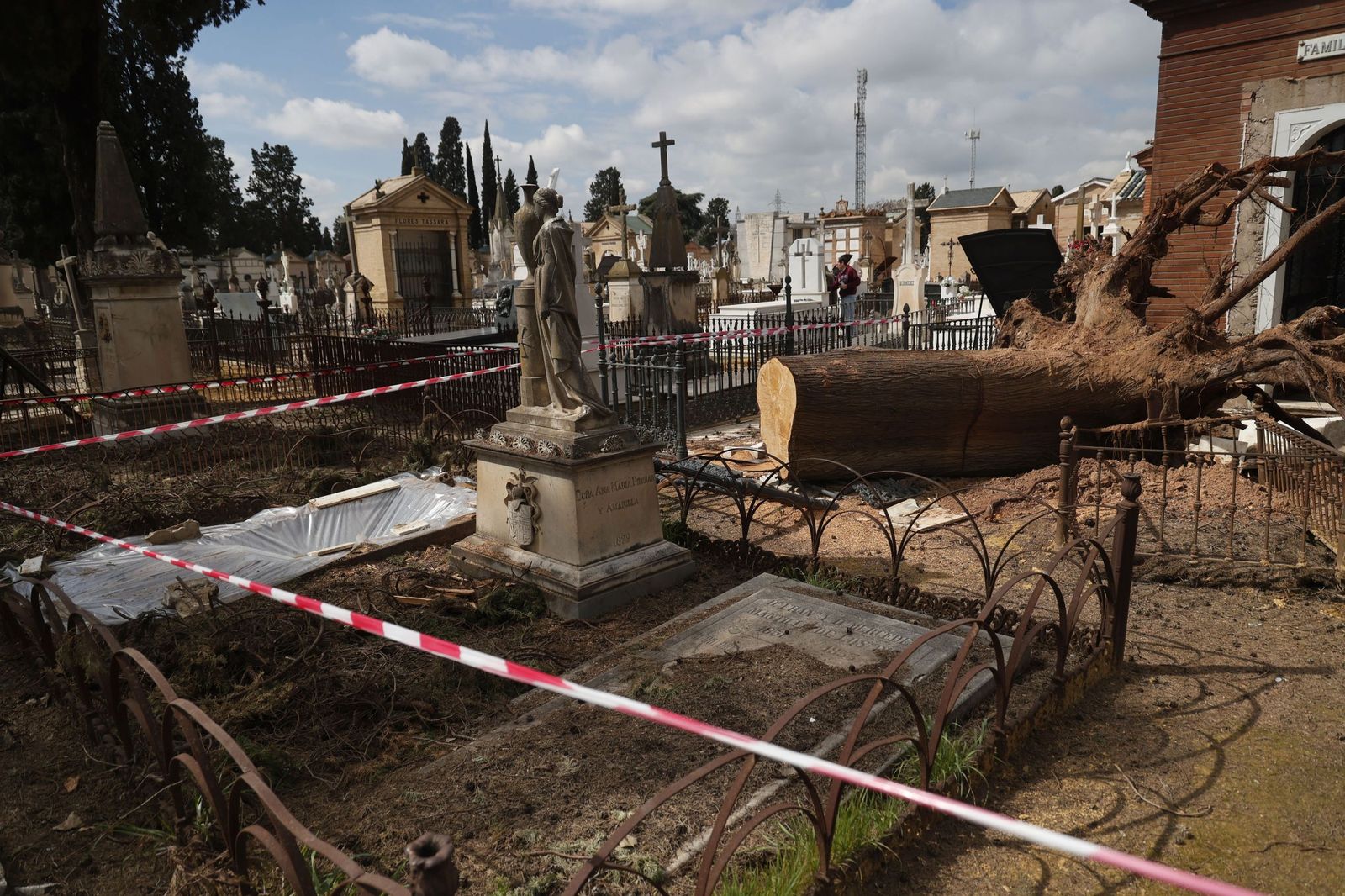 Destrozos provocados en las lápidas del cementerio por la caída de árboles