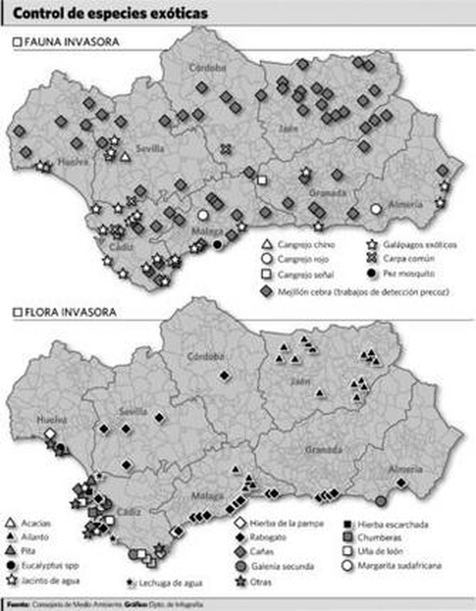 Hasta 31 de las 100 especies invasoras más dañinas han llegado a Andalucía