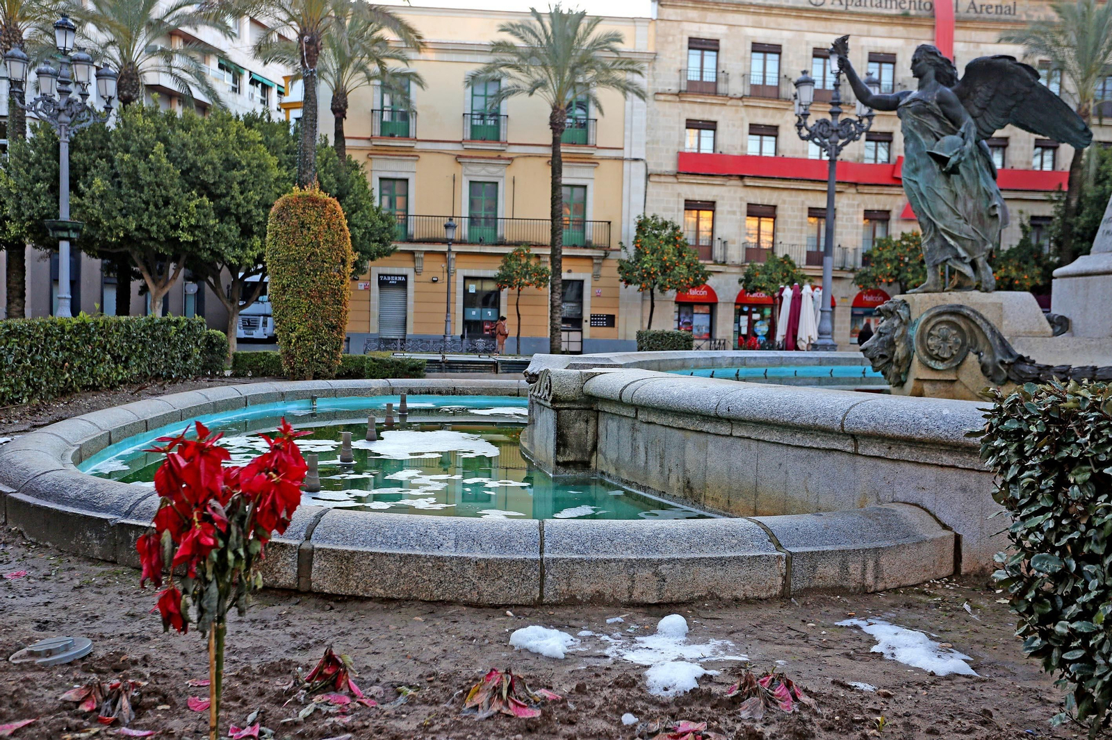 Ola de frío:Imágenes de la helada en Jerez