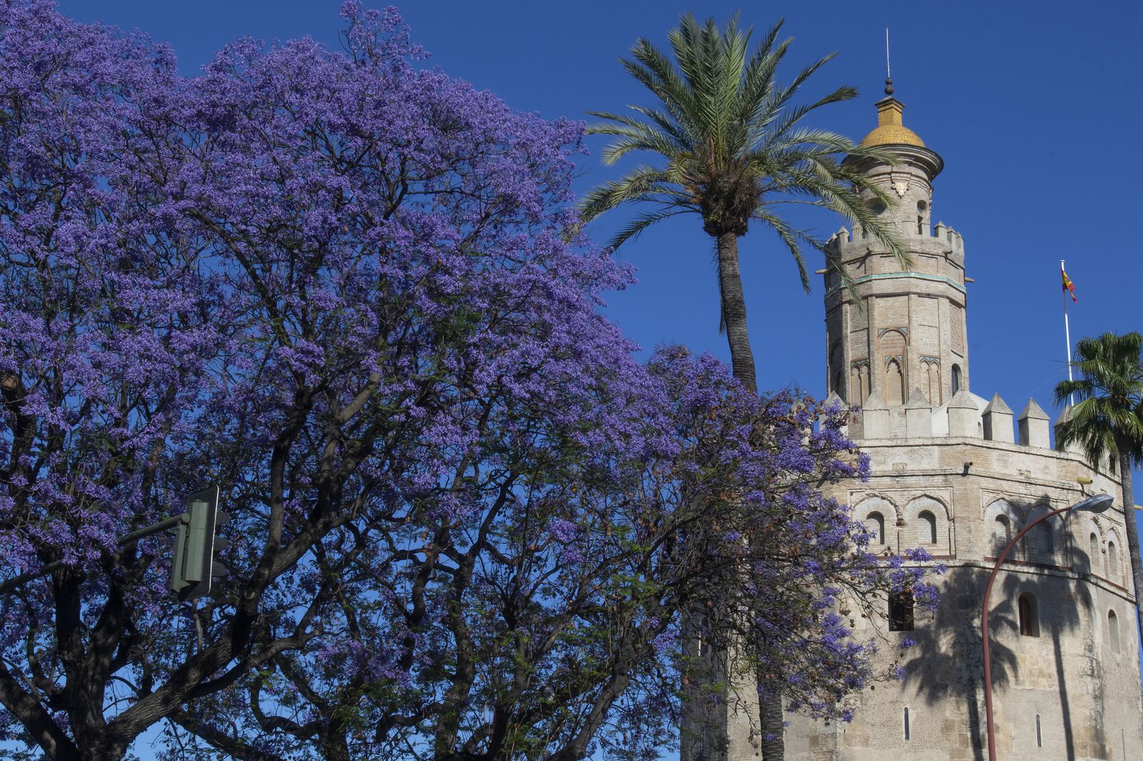 El color morado reina en Sevilla