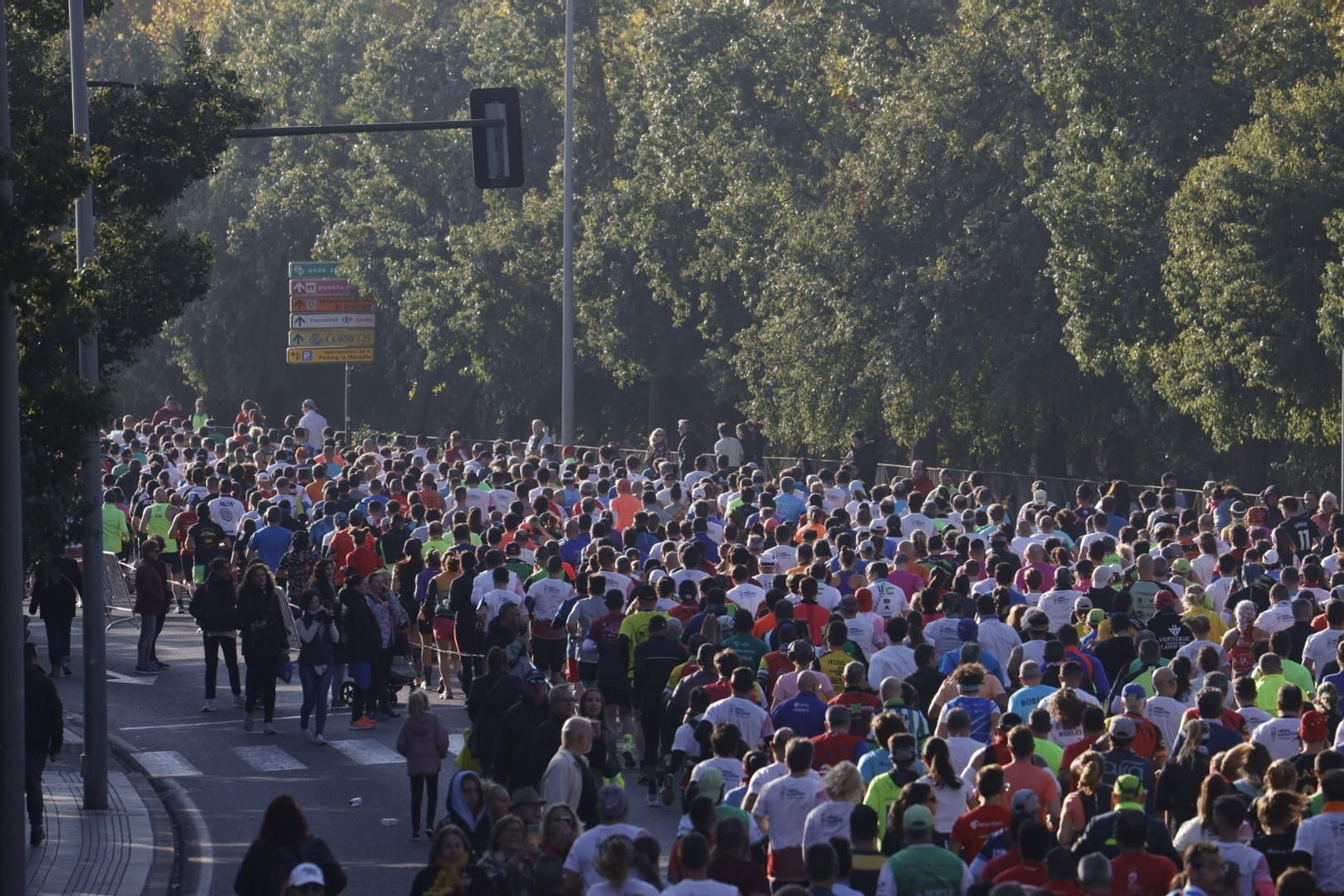 Media Maratón de Córdoba 2023: Las mejores fotos de la salida de la prueba Media Maratón de Córdoba 2023: Las mejores fotos de la salida de la prueba