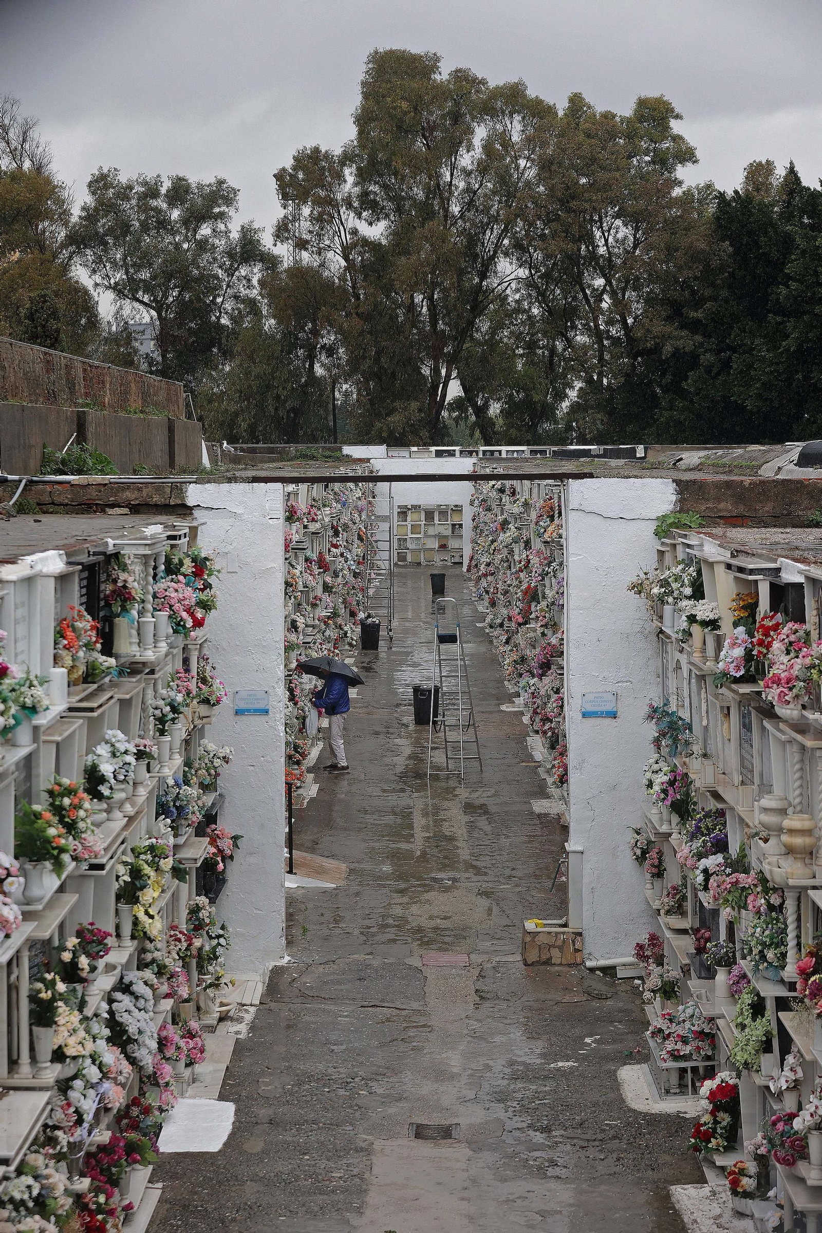 Fotos de los preparativos para Tosantos en el cementerio de Algeciras