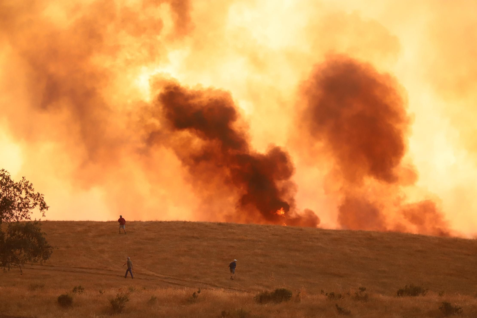 Imágenes del incendio en Almonaster La Real