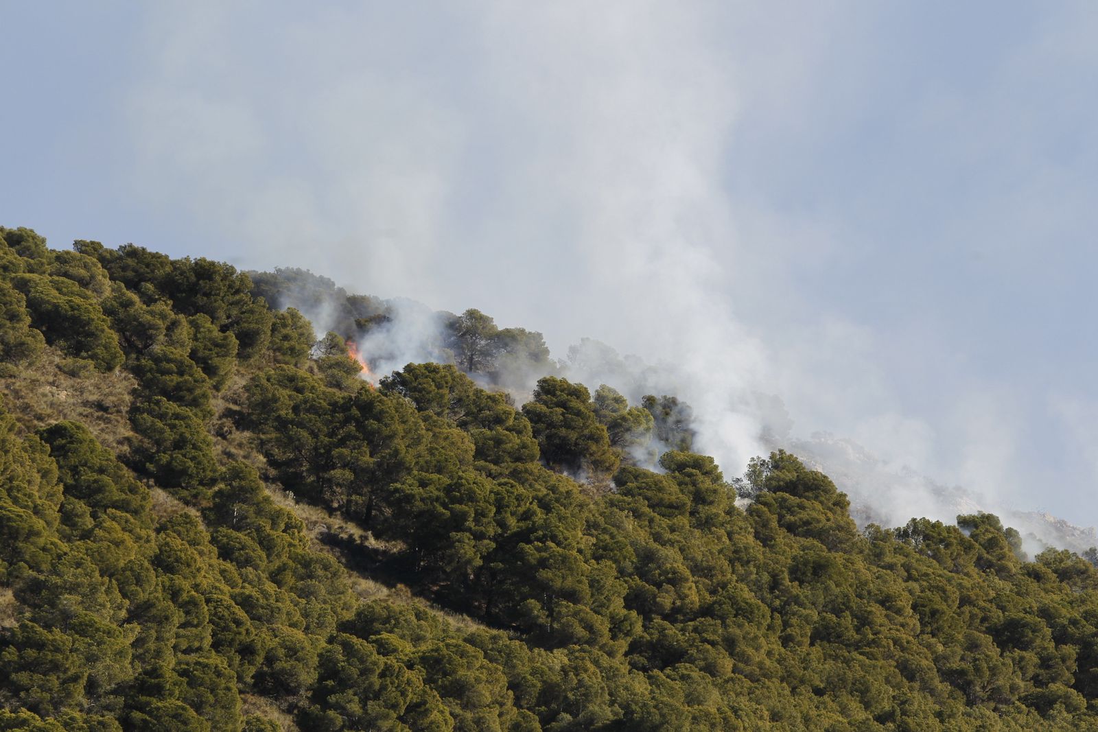 Fotogalería incendio forestal de Castala, Berja y Dalías.