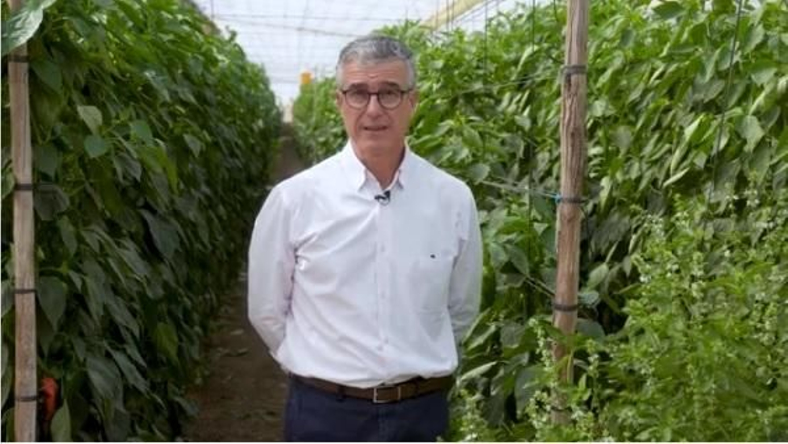Juan Colomina, portavoz de Aproa, explicando en directo y desde Almería las bondades del invernadero solar en Fruit Attraction